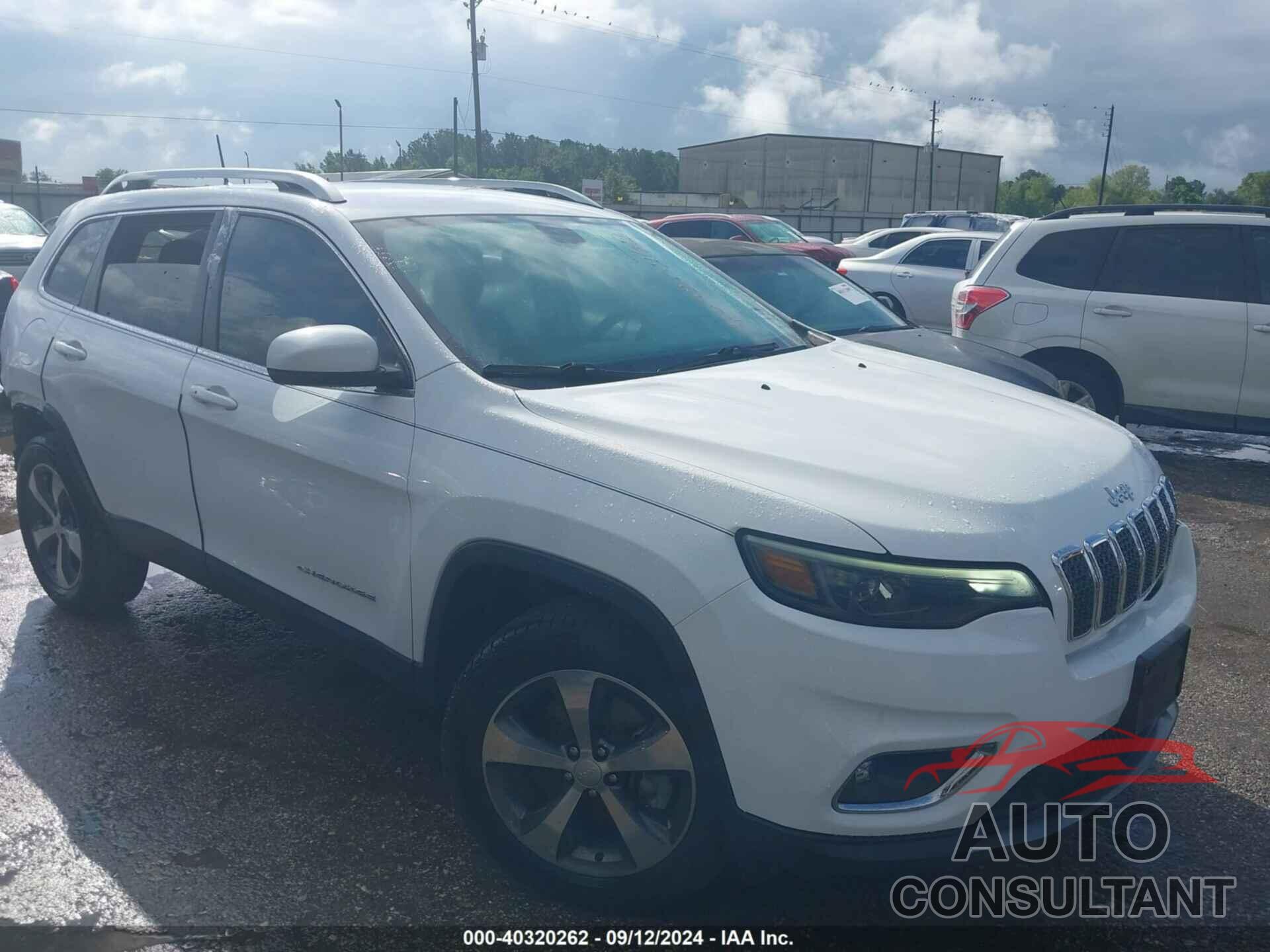 JEEP CHEROKEE 2019 - 1C4PJMDX6KD436146