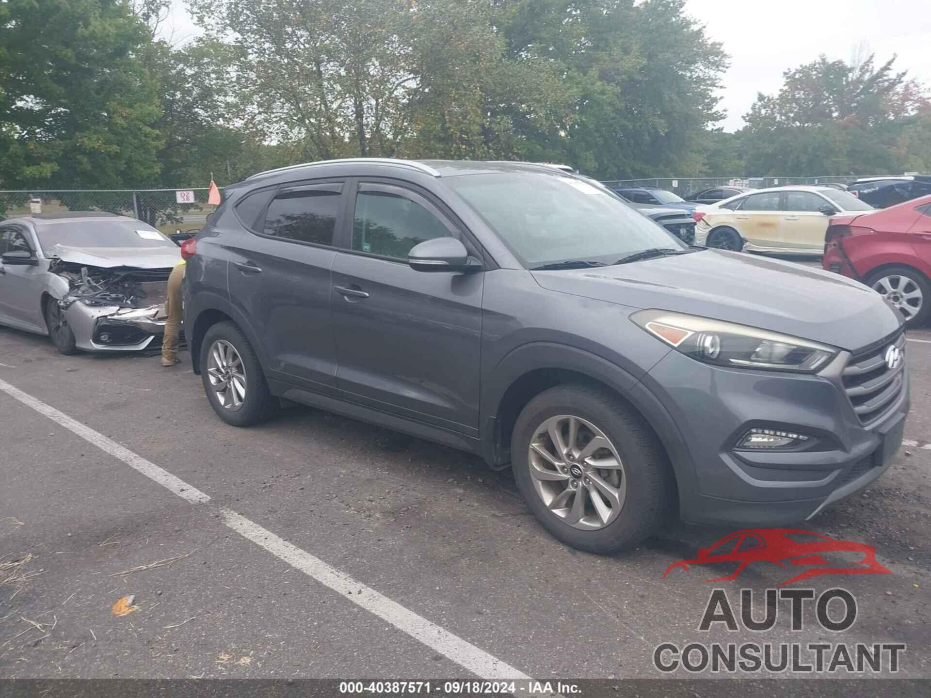 HYUNDAI TUCSON 2016 - KM8J33A29GU194636