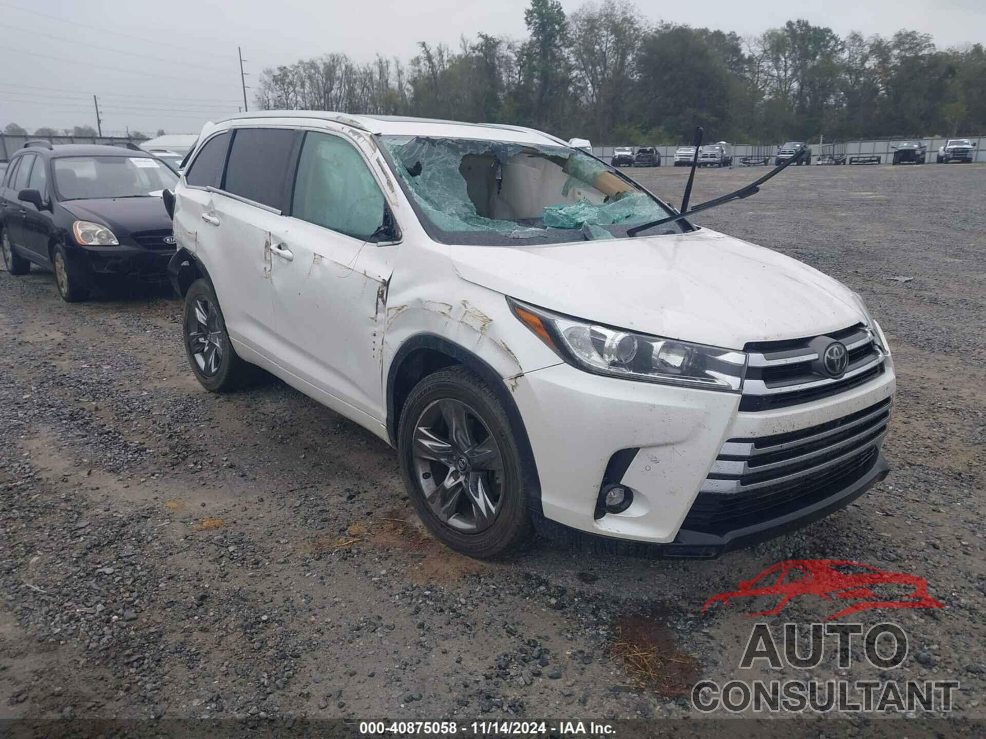 TOYOTA HIGHLANDER 2019 - 5TDYZRFH3KS311495