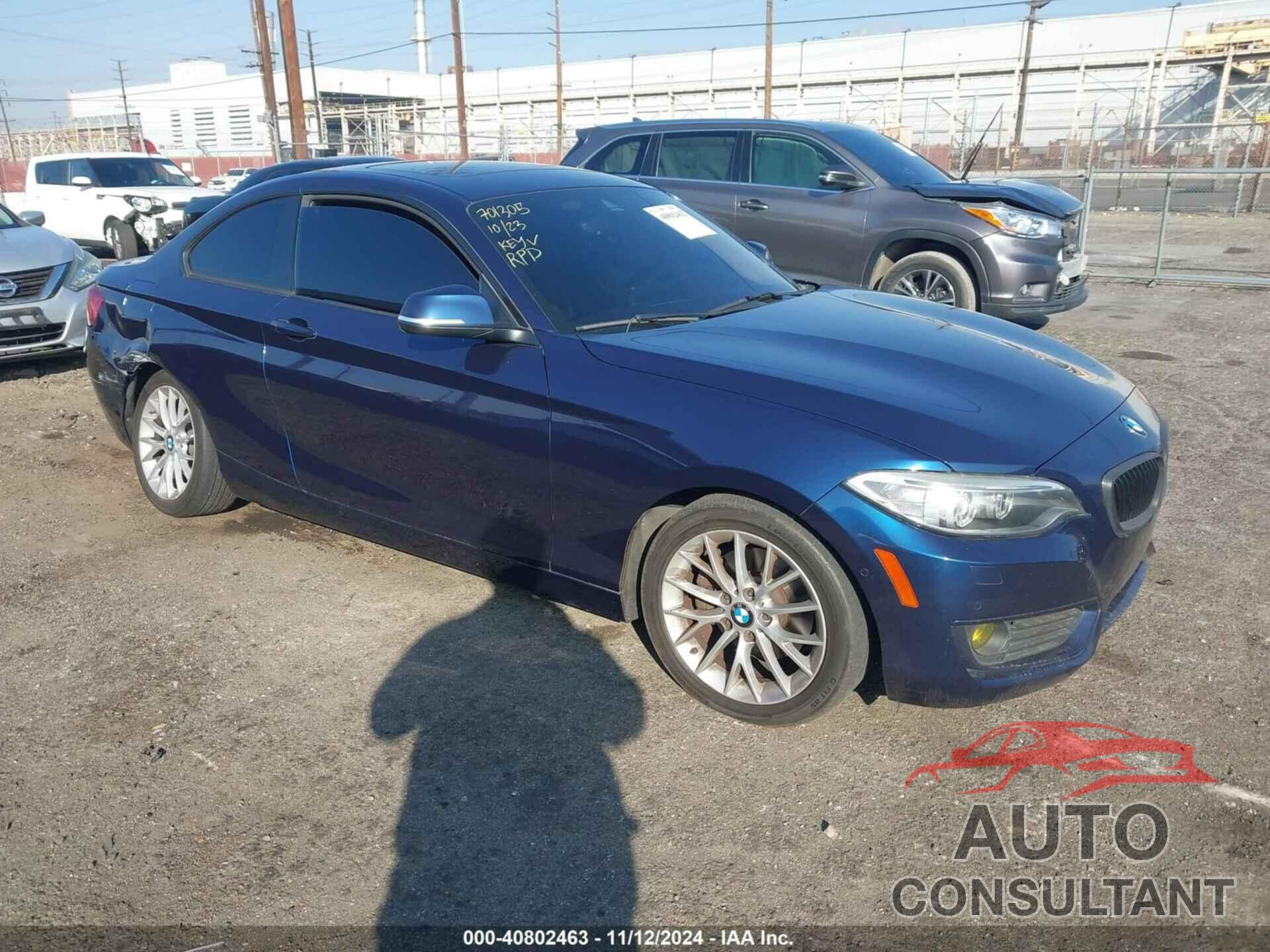 BMW 228I 2015 - WBA1F7C5XFV367287