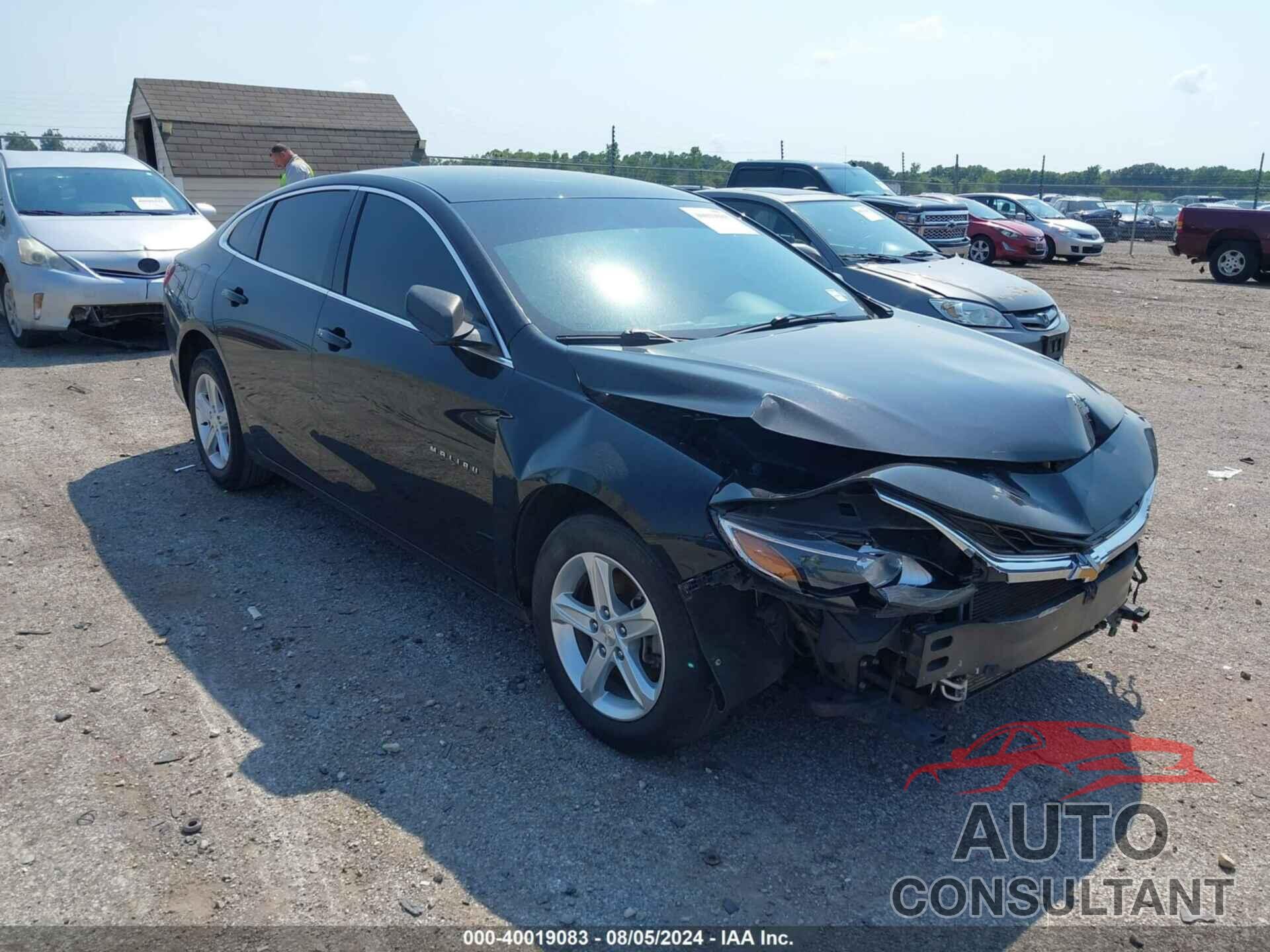 CHEVROLET MALIBU 2019 - 1G1ZB5ST7KF123423