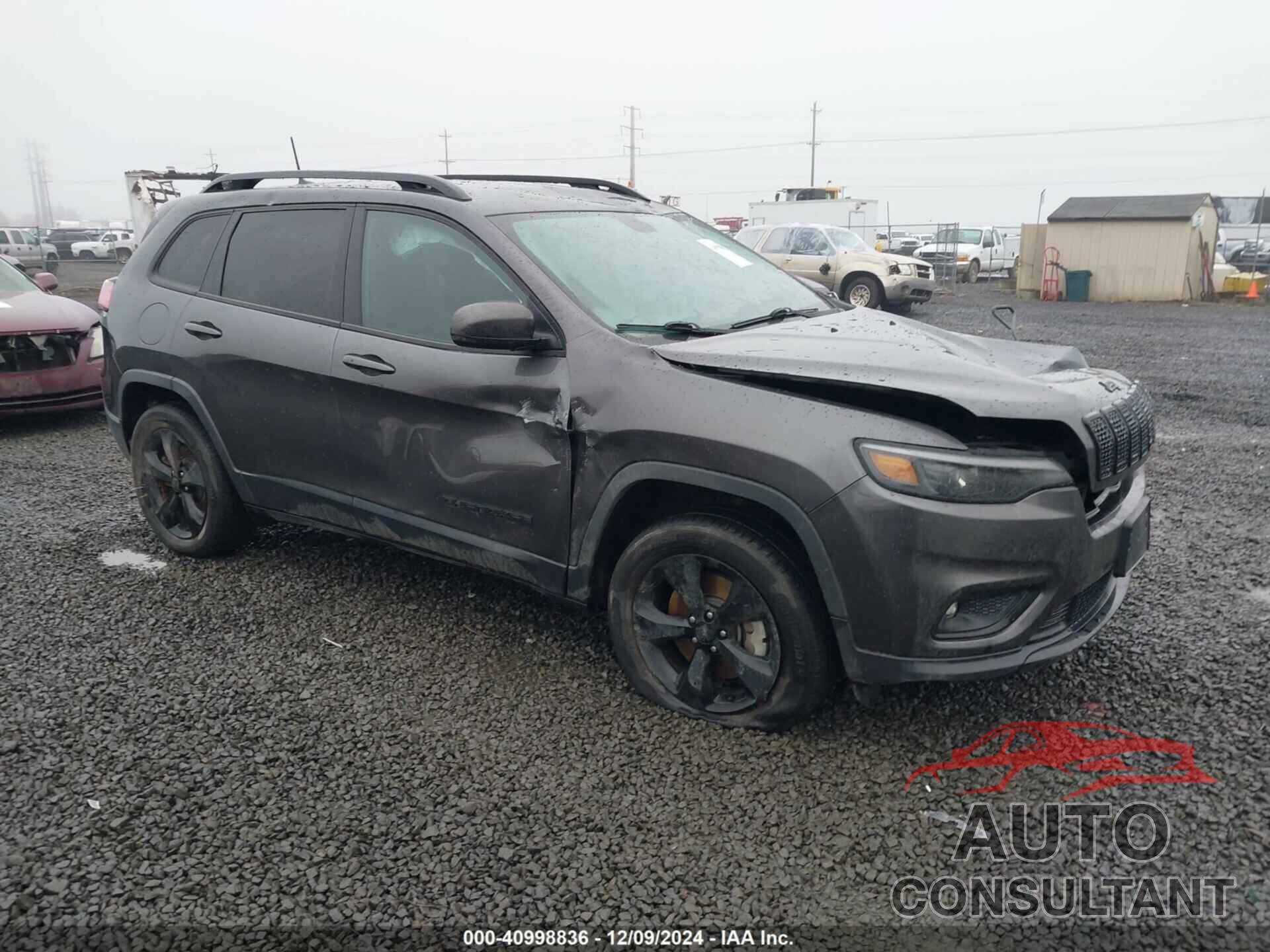 JEEP CHEROKEE 2020 - 1C4PJMLB1LD594711