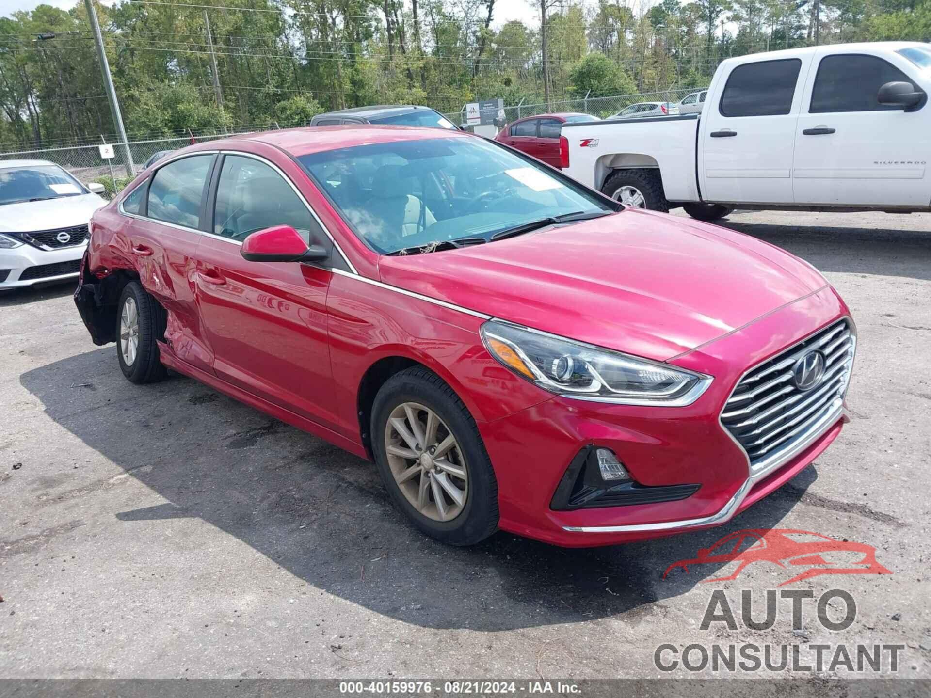 HYUNDAI SONATA 2019 - 5NPE24AF4KH736293