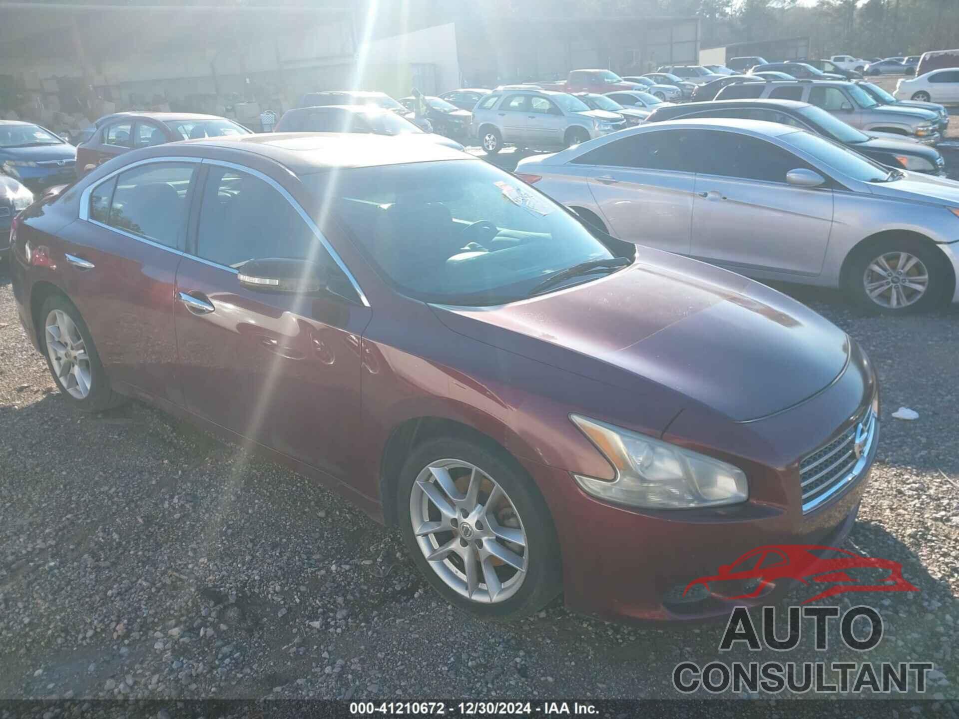 NISSAN MAXIMA 2010 - 1N4AA5AP6AC856936