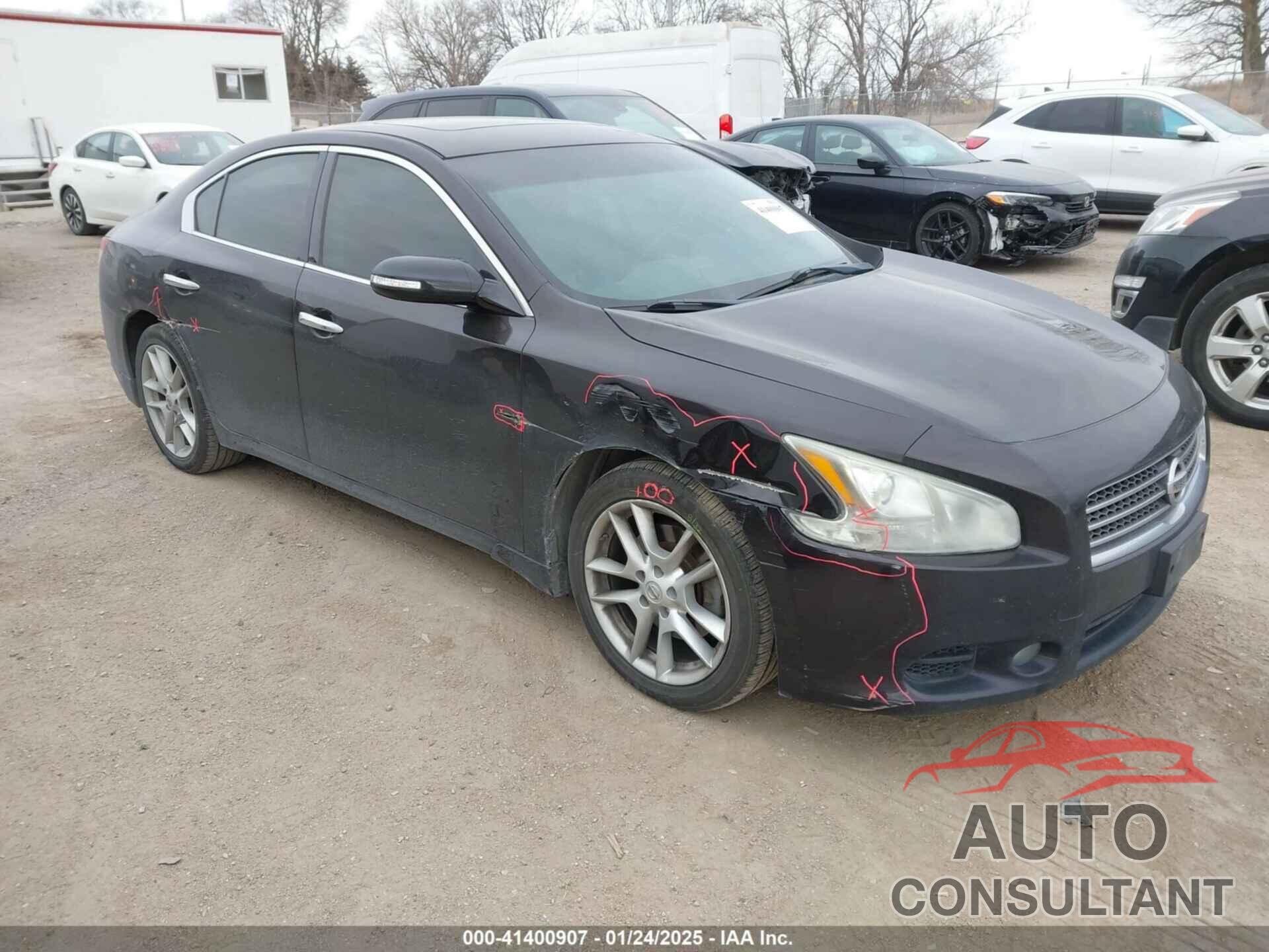 NISSAN MAXIMA 2010 - 1N4AA5AP4AC842257