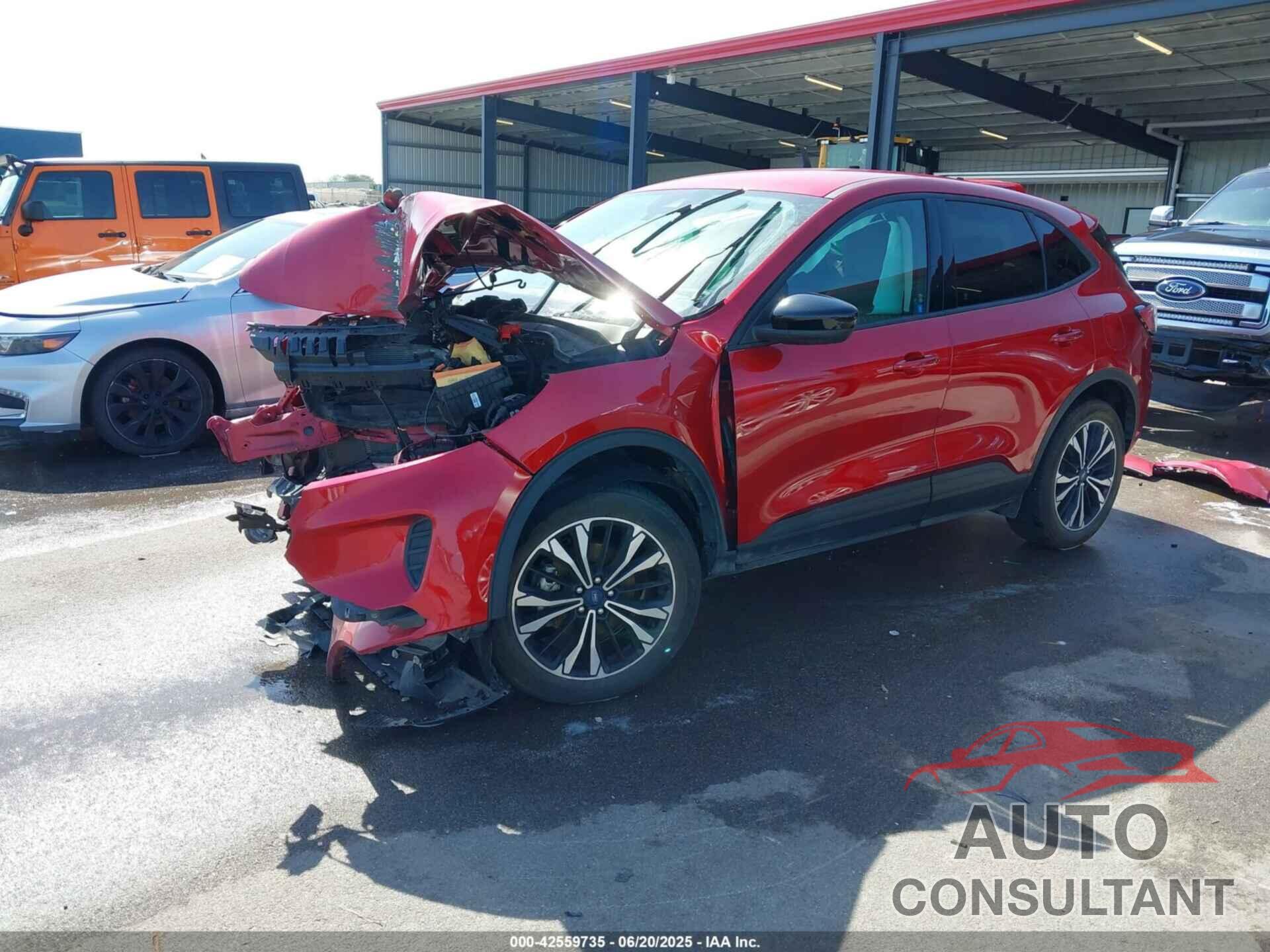 FORD ESCAPE 2021 - 1FMCU9G62MUA93694