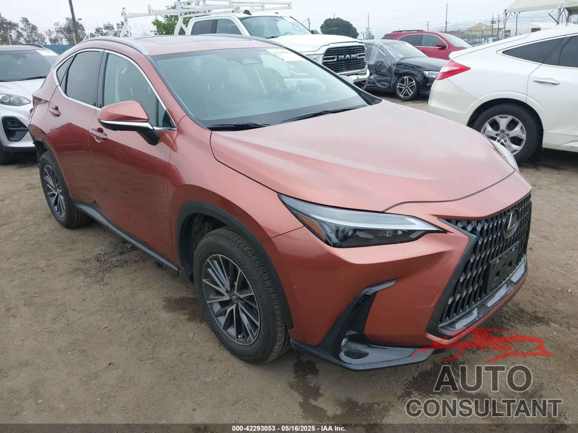 LEXUS NX 350H 2025 - 2T2GKCEZ1SC040979