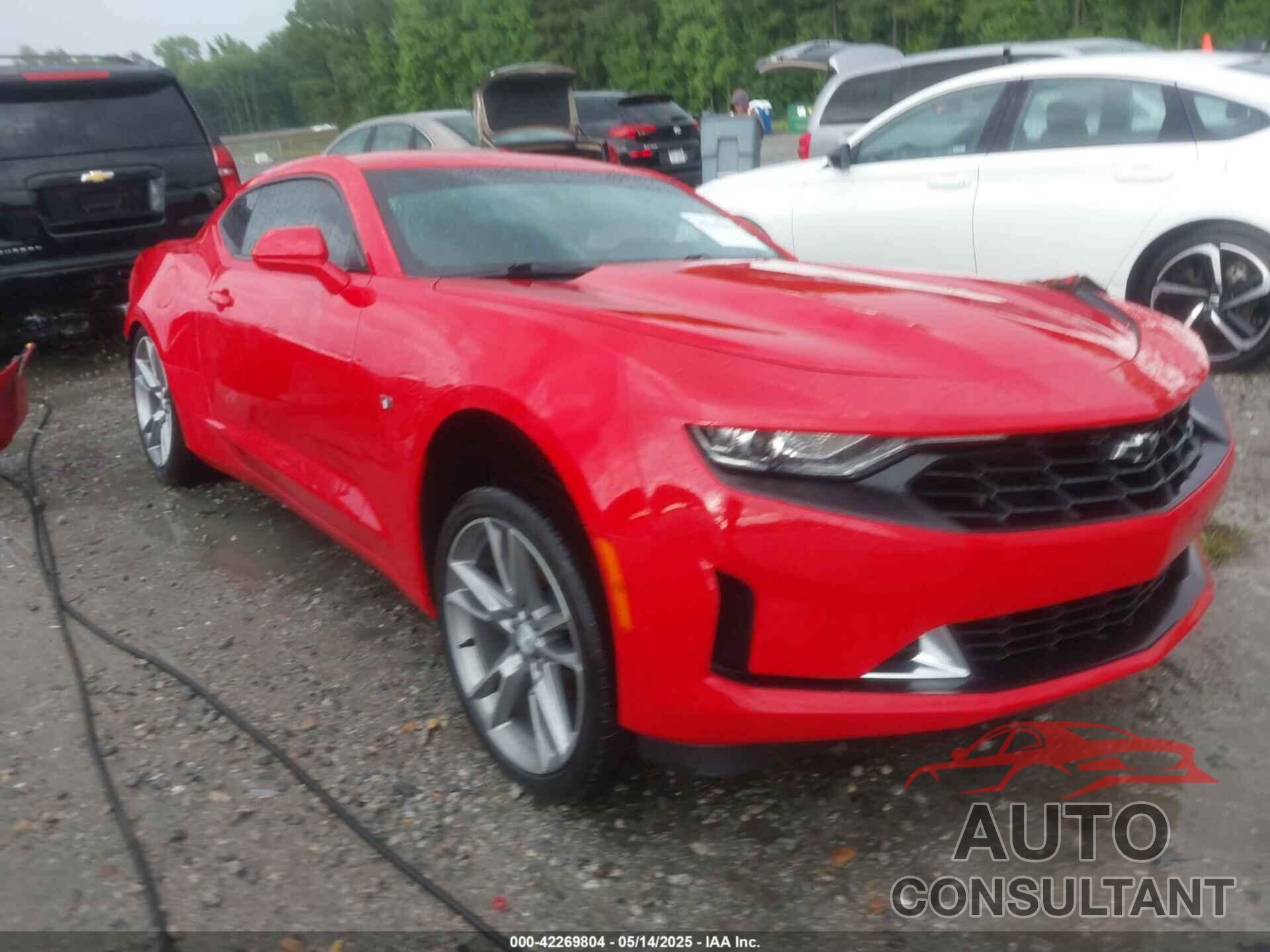 CHEVROLET CAMARO 2019 - 1G1FD1RSXK0121980
