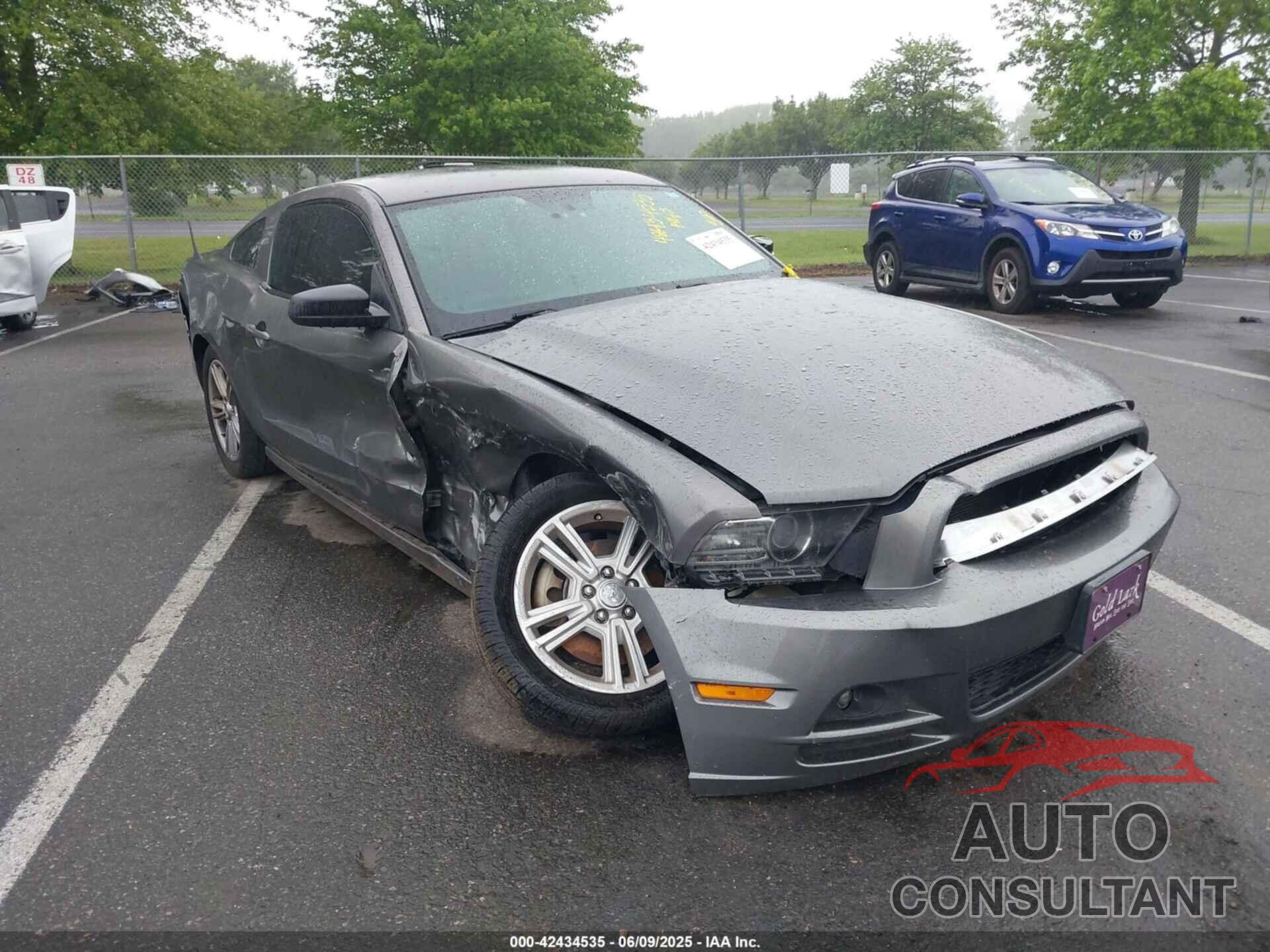 FORD MUSTANG 2013 - 1ZVBP8AM9D5283220