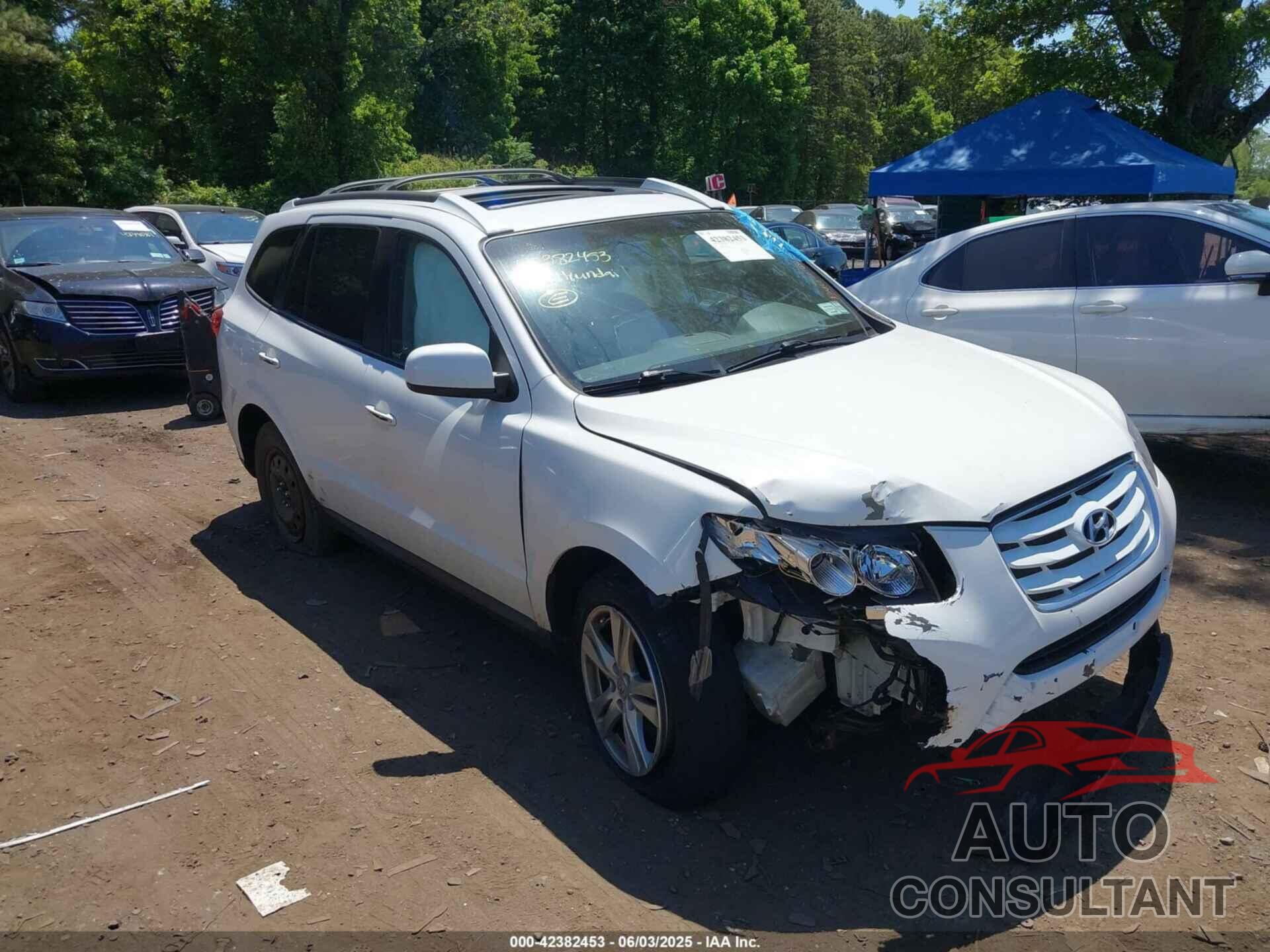 HYUNDAI SANTA FE 2010 - 5NMSKDAG8AH396430