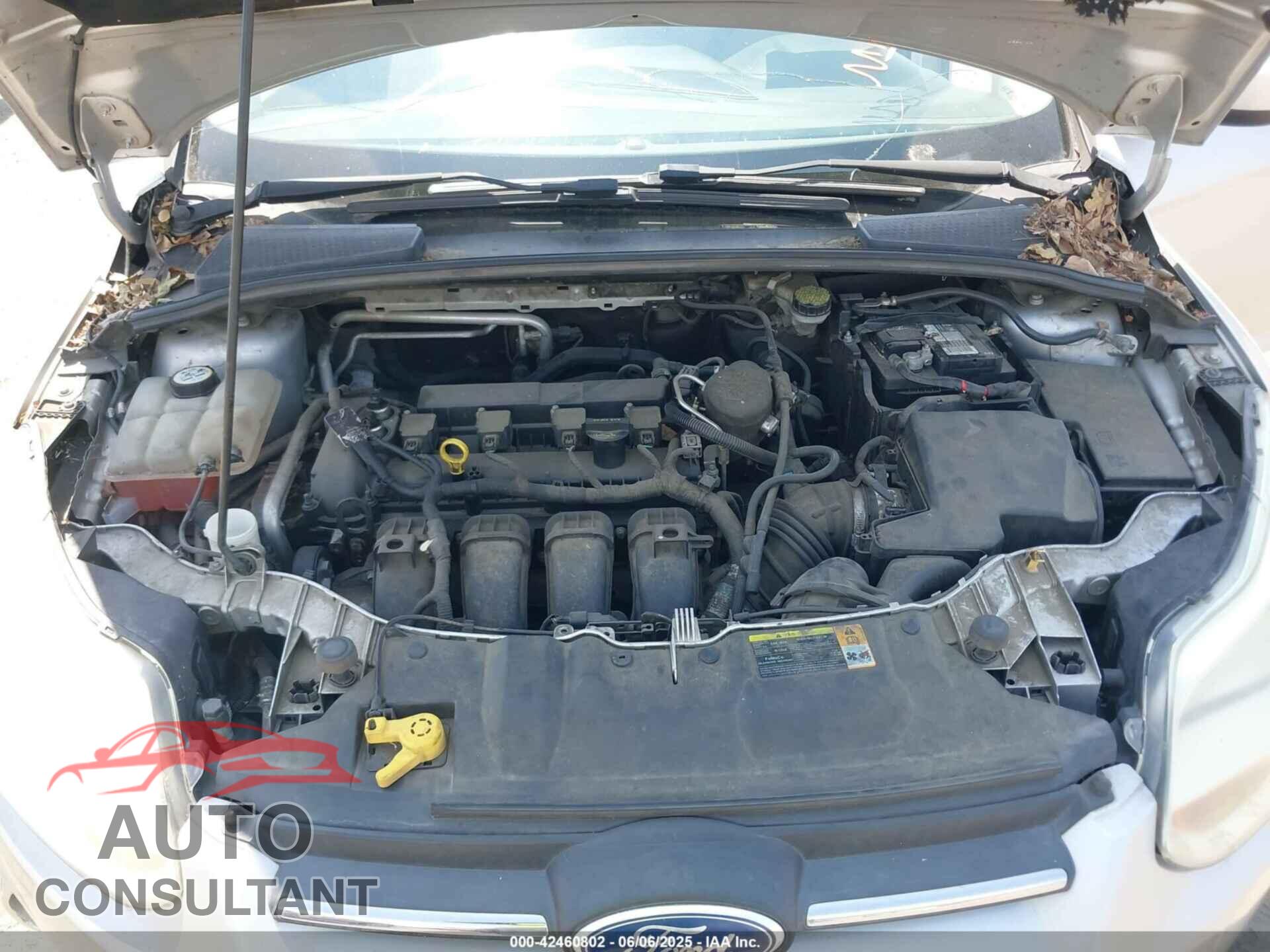 FORD FOCUS 2012 - 1FAHP3K25CL169602