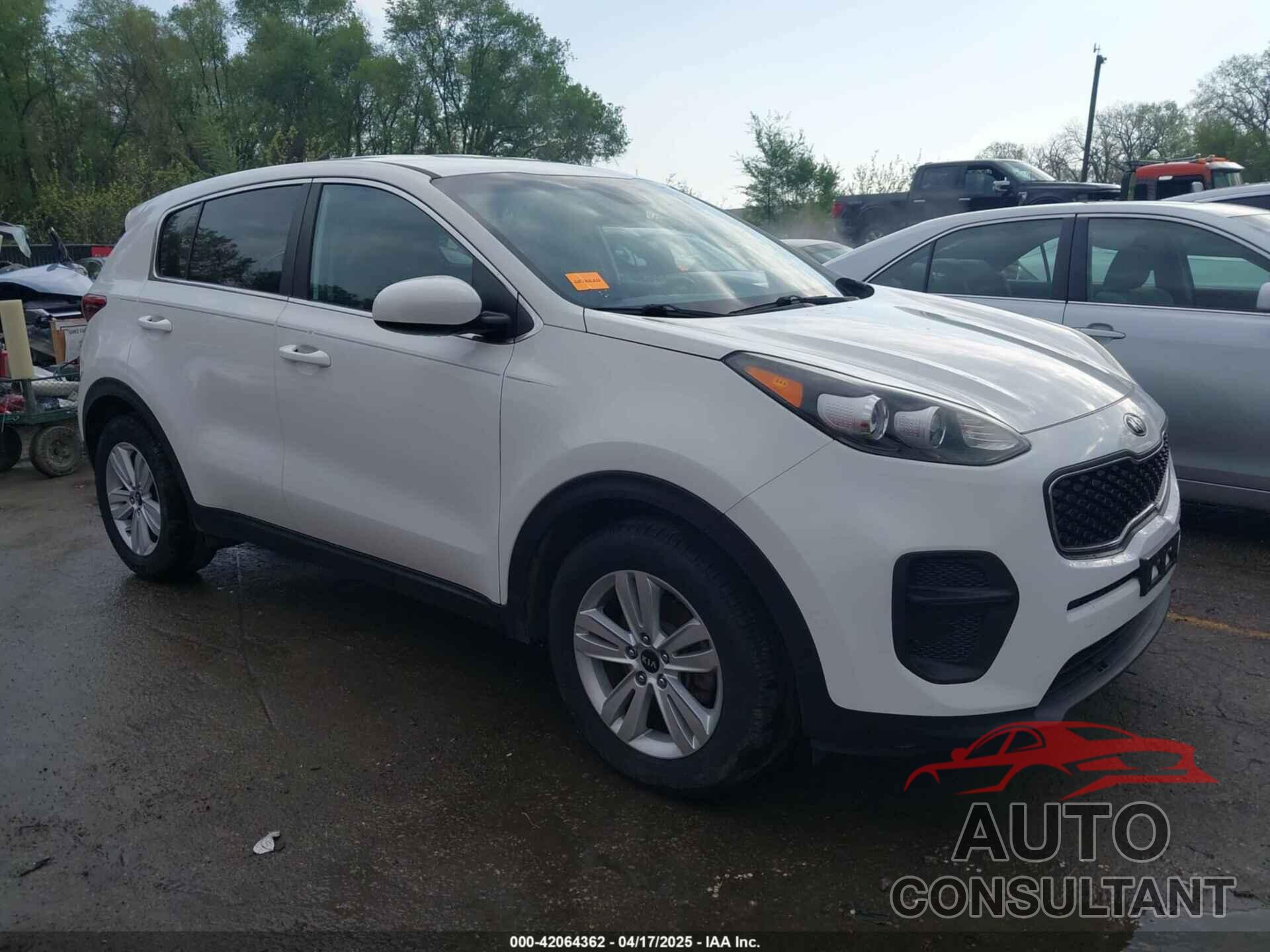 KIA SPORTAGE 2017 - KNDPM3AC3H7097274
