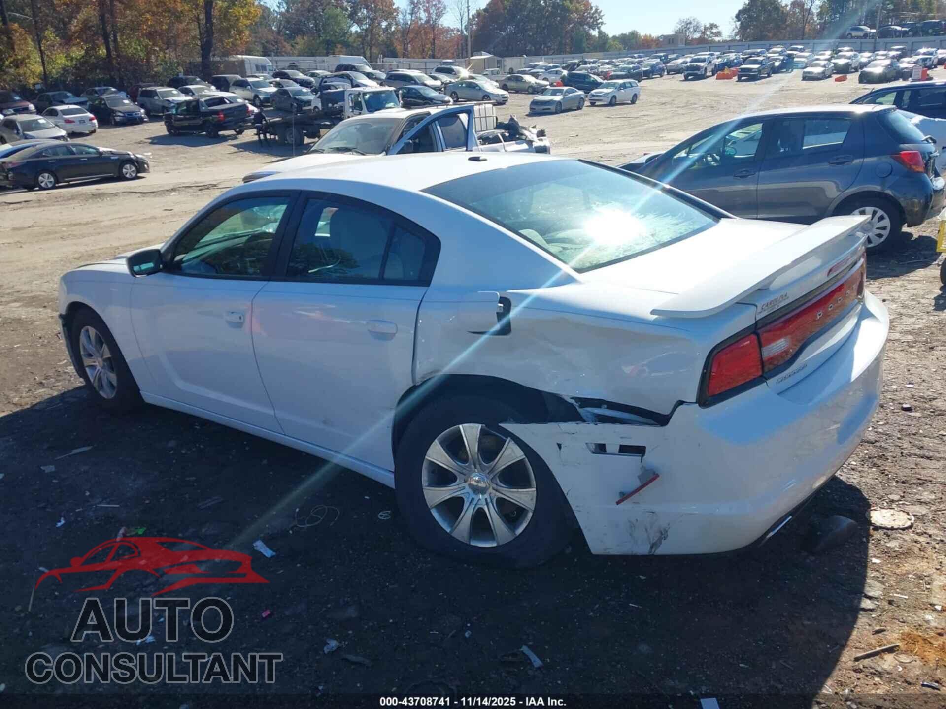DODGE CHARGER 2014 - 2C3CDXHG0EH104541