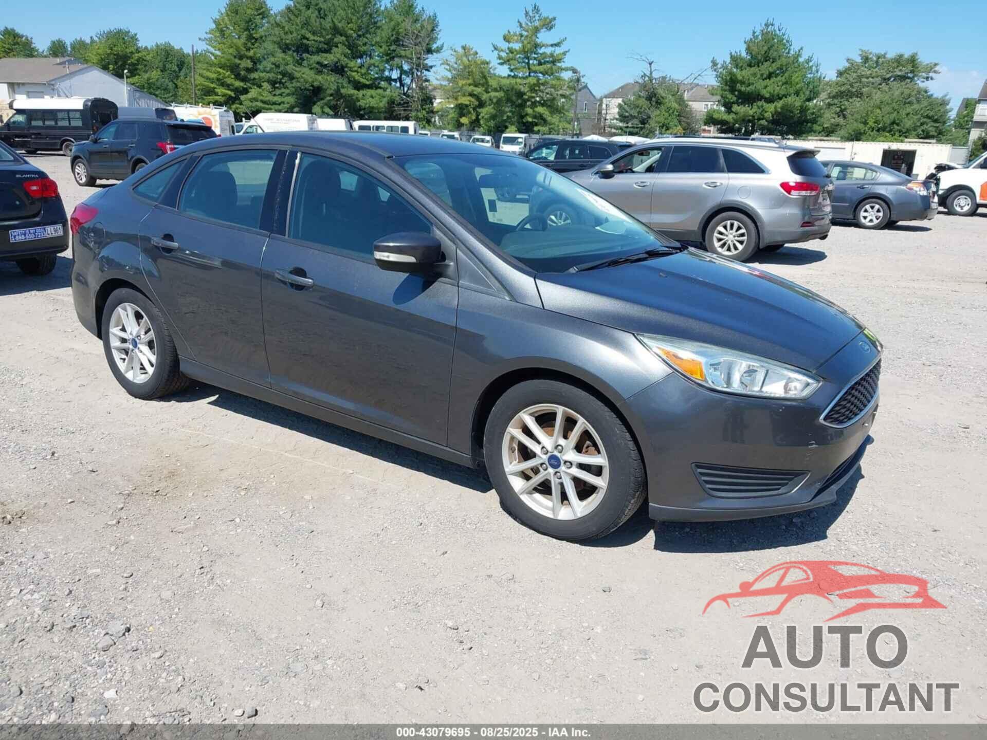 FORD FOCUS 2016 - 1FADP3F22GL350784