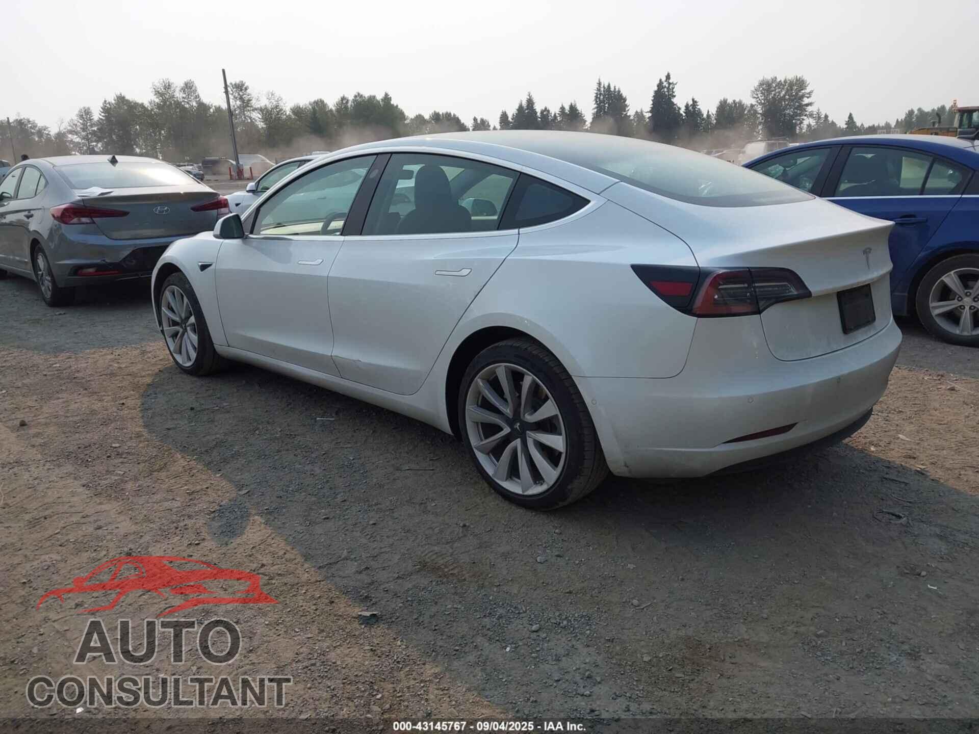 TESLA MODEL 3 2020 - 5YJ3E1EA2LF634261
