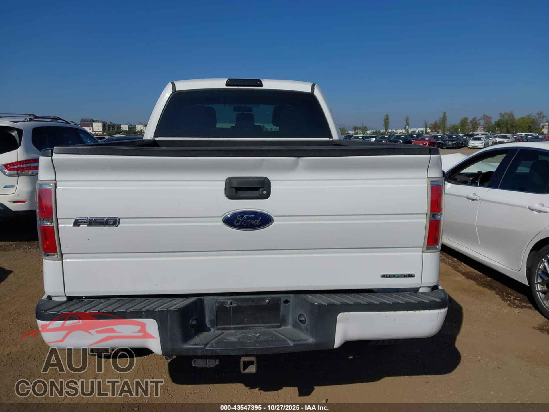 FORD F-150 2013 - 1FTFX1CF0DFE06343