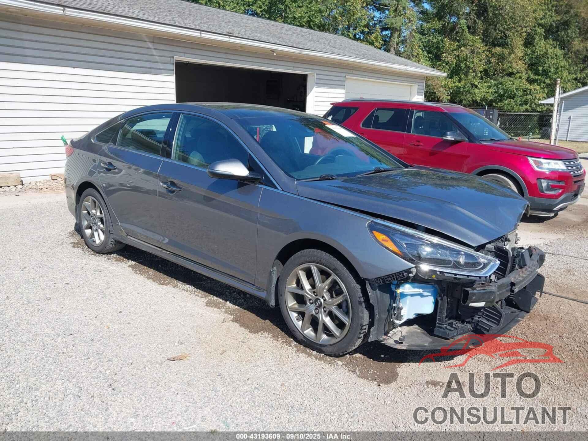 HYUNDAI SONATA 2019 - 5NPE34AB9KH802556
