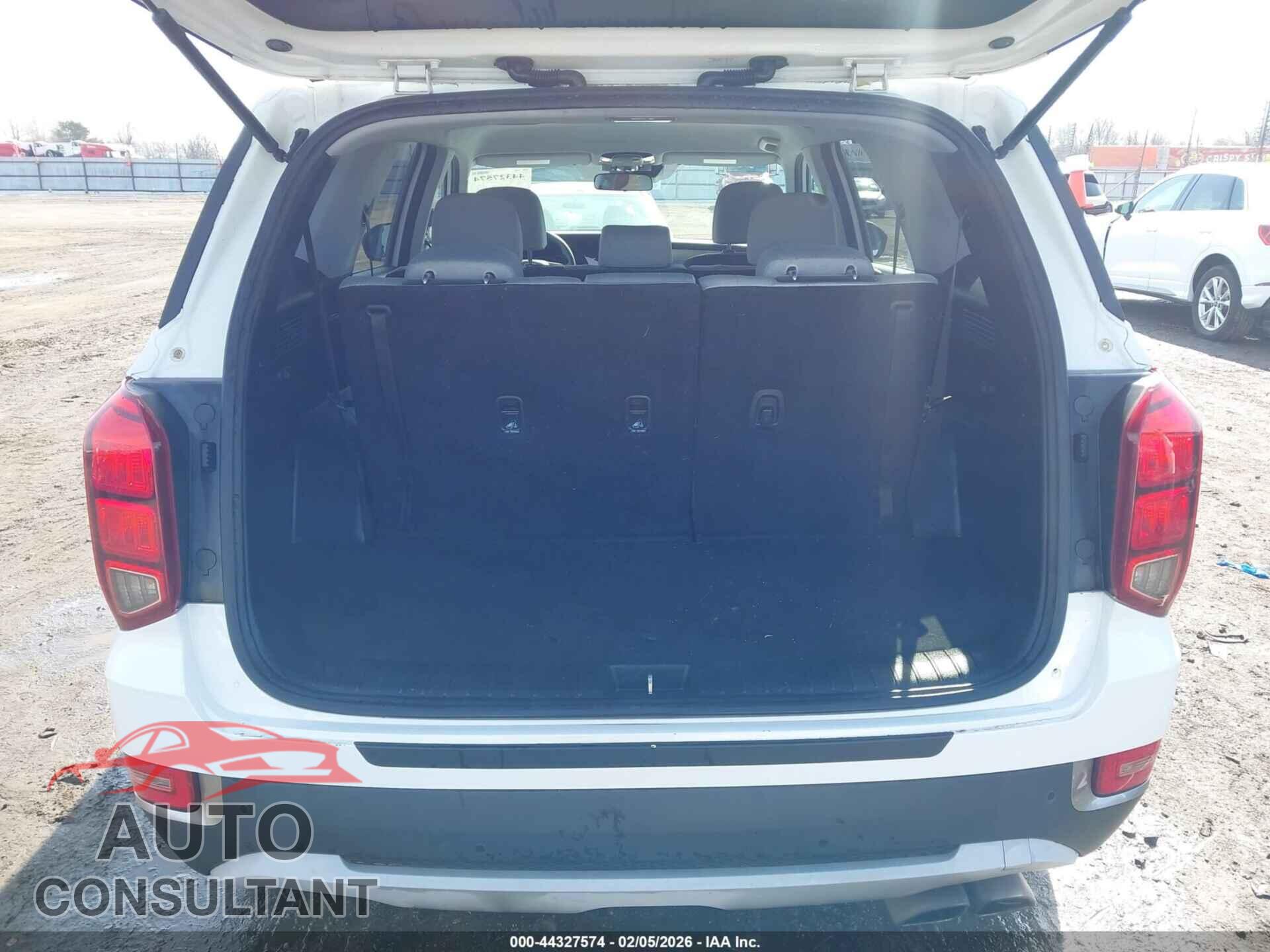 HYUNDAI PALISADE 2020 - KM8R14HEXLU040638