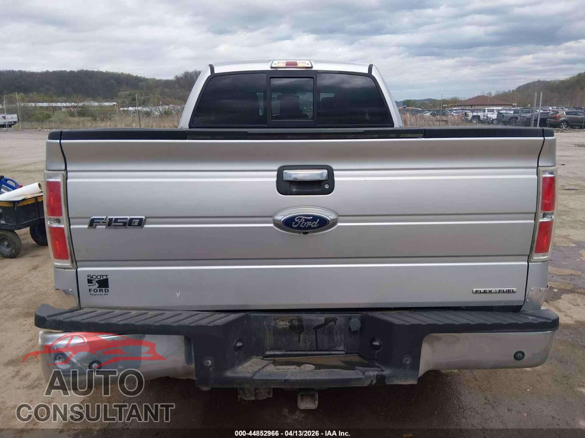FORD F-150 2013 - 1FTFX1EF7DFD32335
