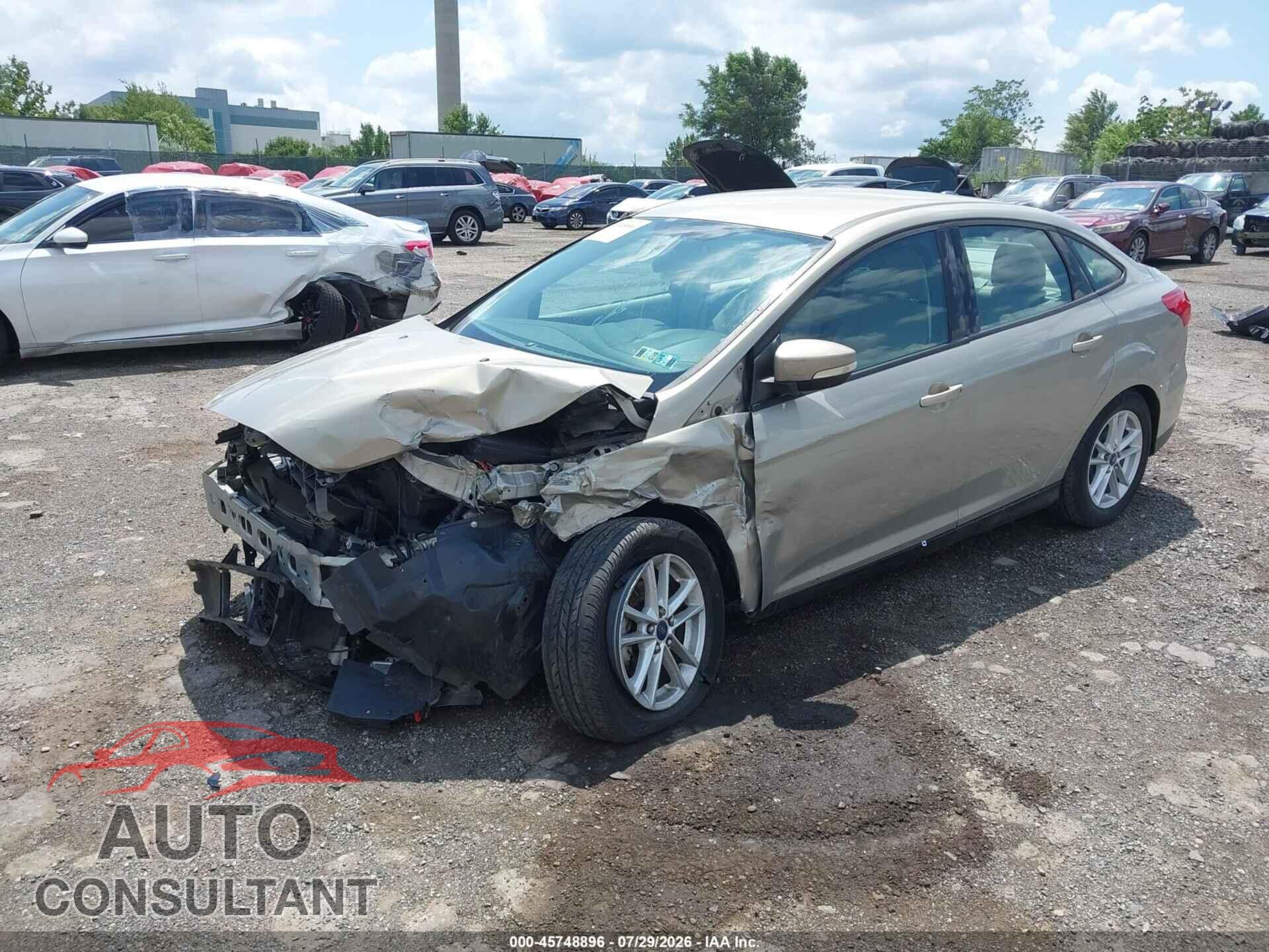 FORD FOCUS 2016 - 1FADP3F21GL210564