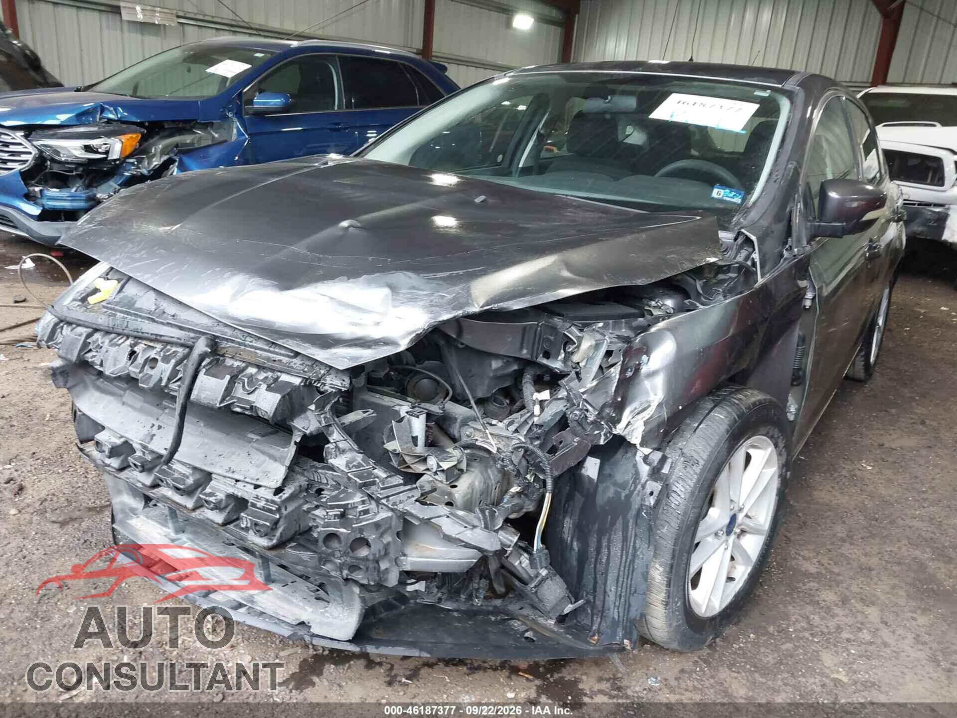 FORD FOCUS 2016 - 1FADP3K22GL393401