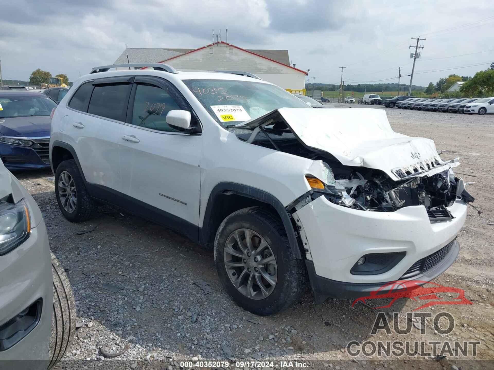 JEEP CHEROKEE 2019 - 1C4PJMLX4KD169655