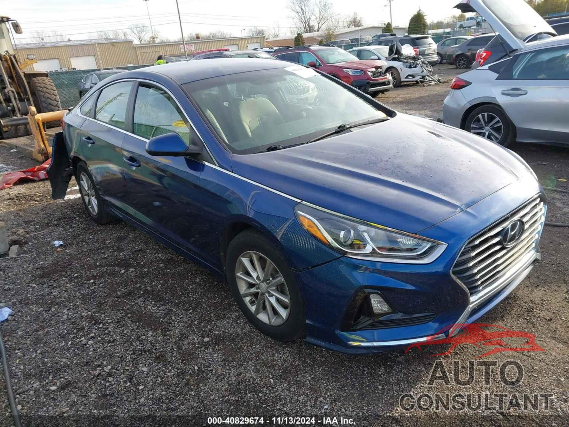 HYUNDAI SONATA 2019 - 5NPE24AF8KH779731