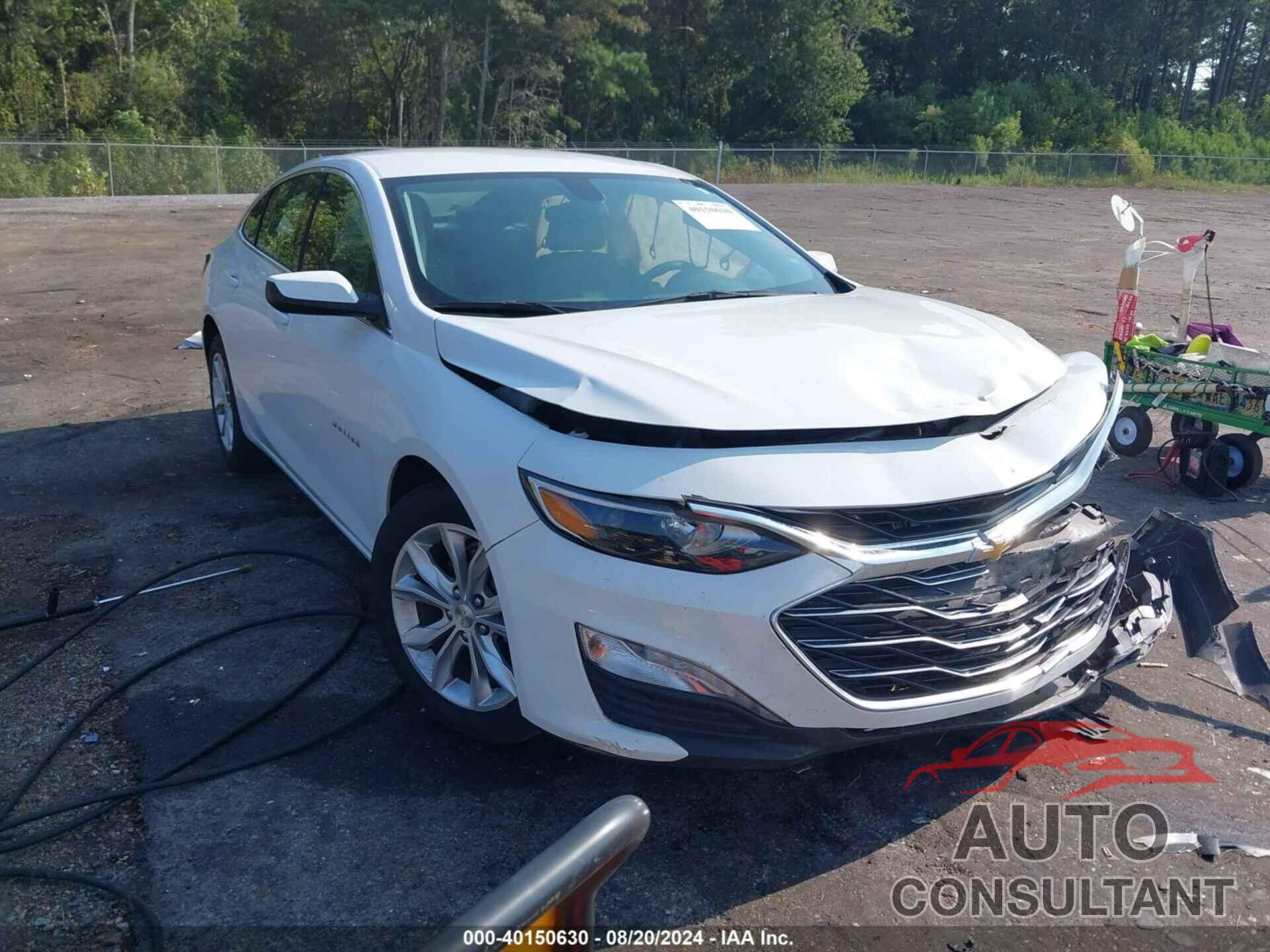 CHEVROLET MALIBU 2019 - 1G1ZD5ST5KF138643