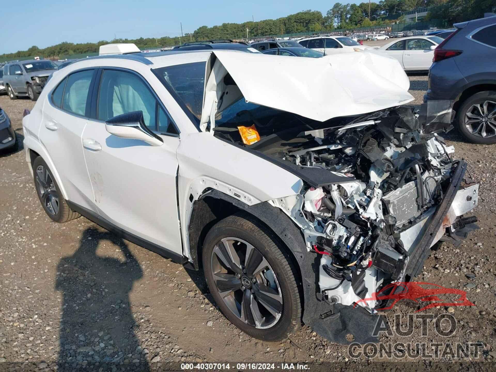 LEXUS UX 250H 2024 - JTHP9JBH4R2077113