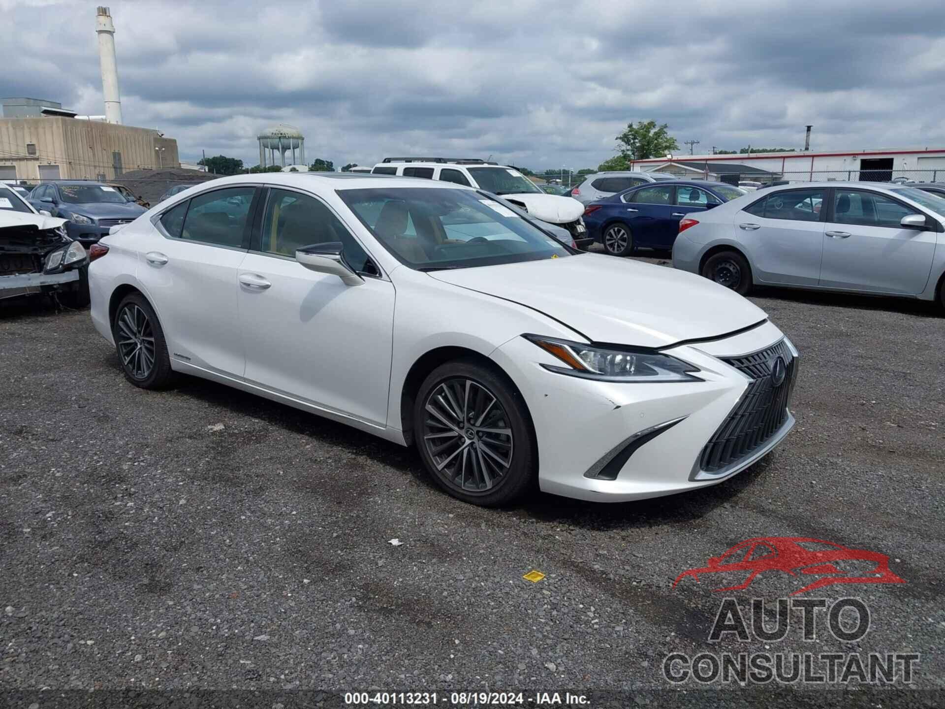 LEXUS ES 300H 2022 - 58ADA1C19NU026352