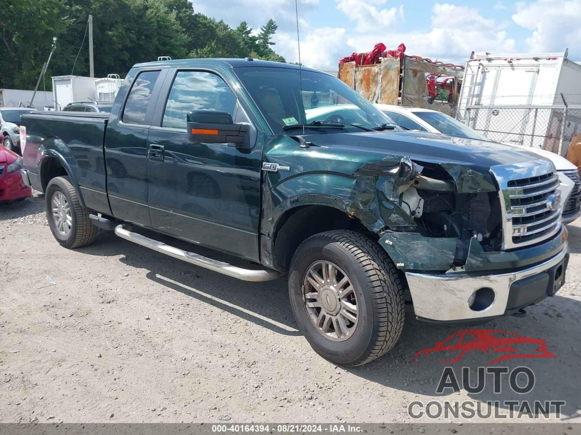 FORD F-150 2013 - 1FTFX1EF6DFB63196