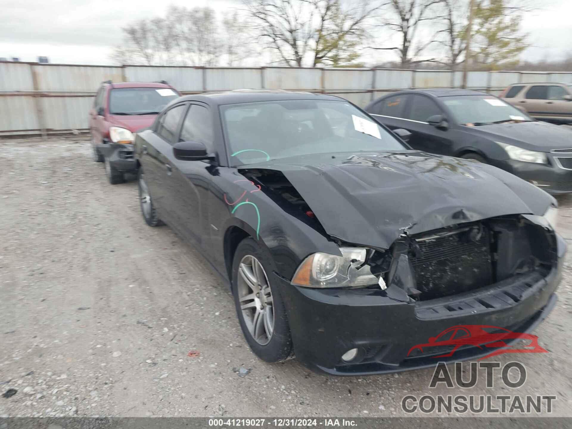 DODGE CHARGER 2013 - 2C3CDXCT7DH516393