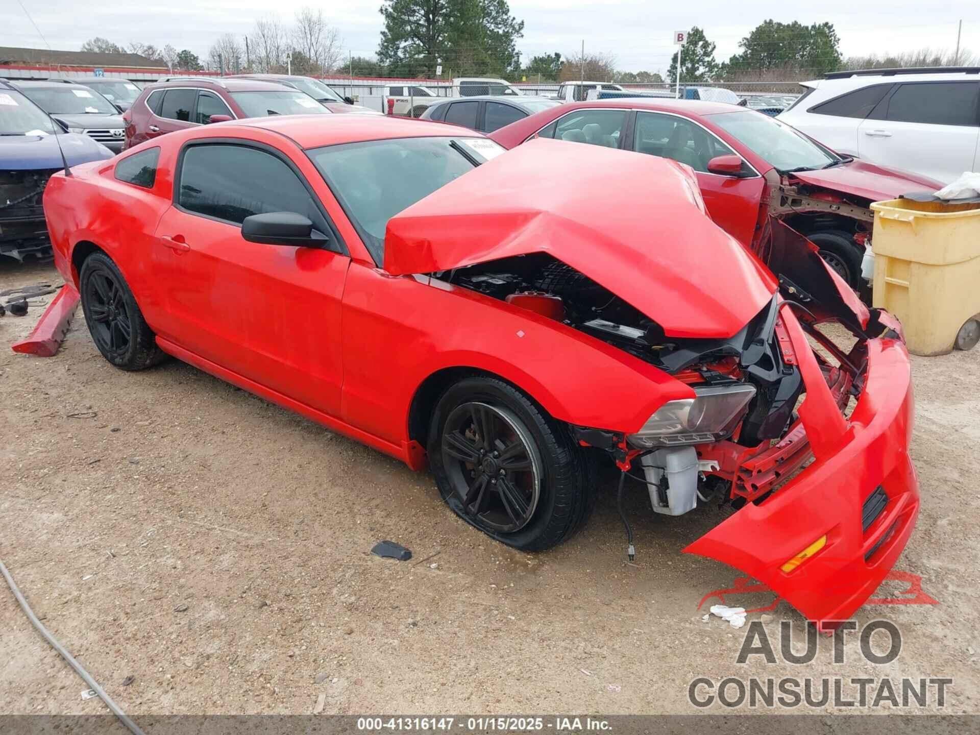 FORD MUSTANG 2014 - 1ZVBP8AM7E5282813