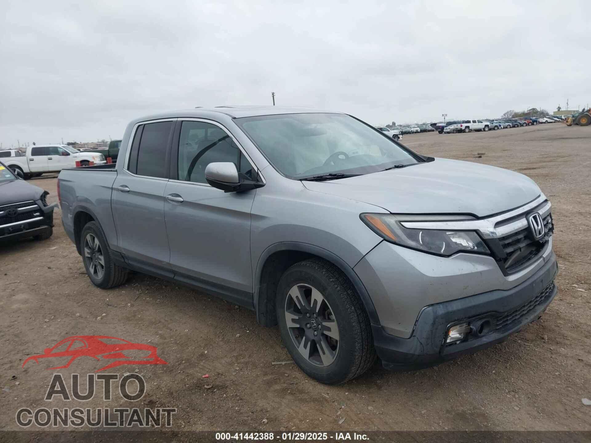 HONDA RIDGELINE 2019 - 5FPYK2F55KB004066