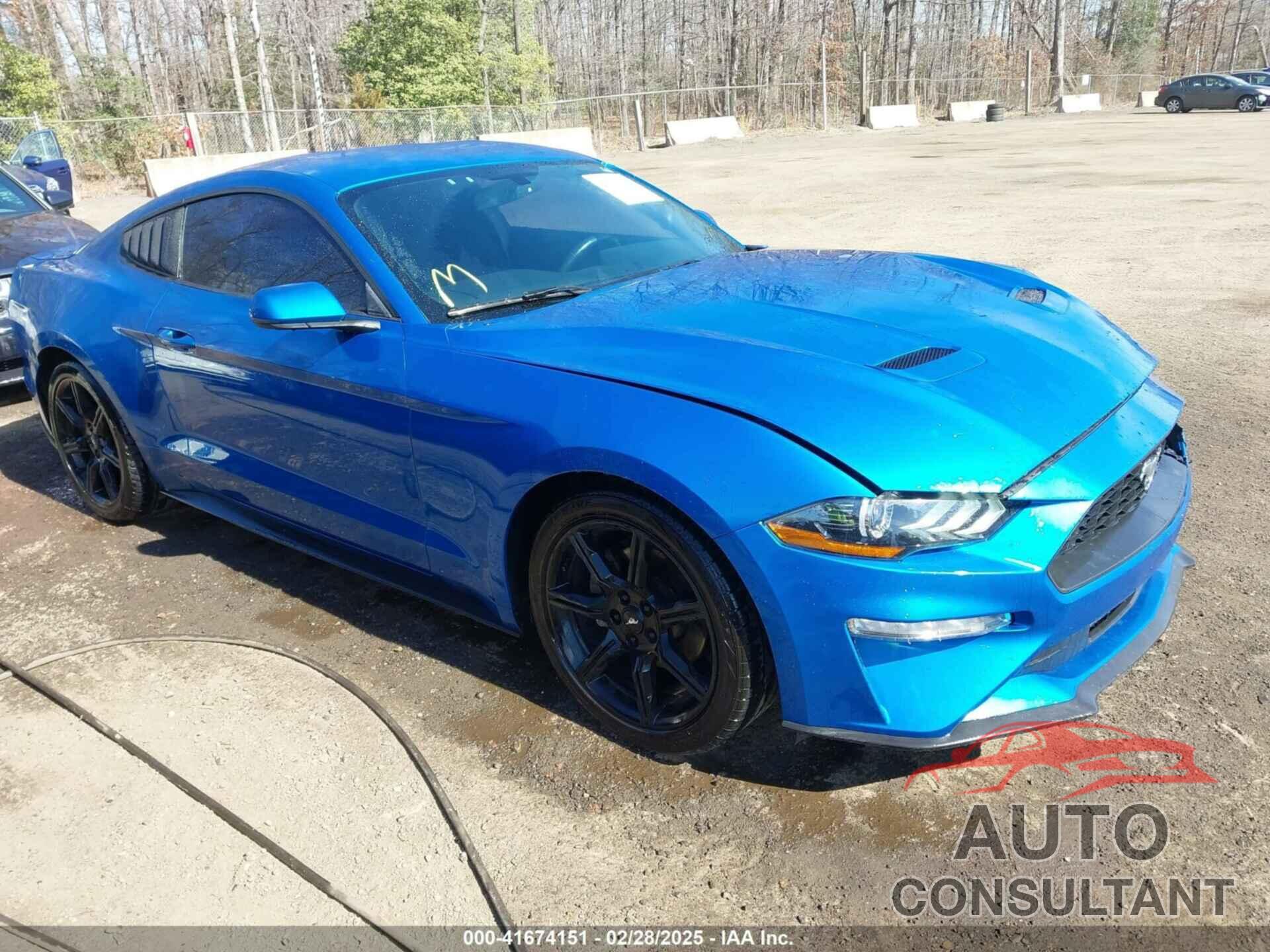 FORD MUSTANG 2019 - 1FA6P8TH1K5167548