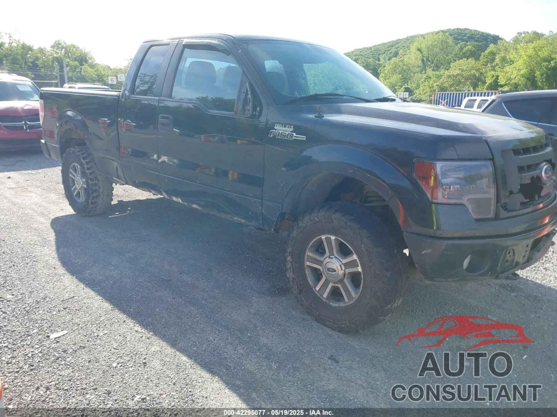 FORD F-150 2010 - 1FTEX1EW2AFA18163