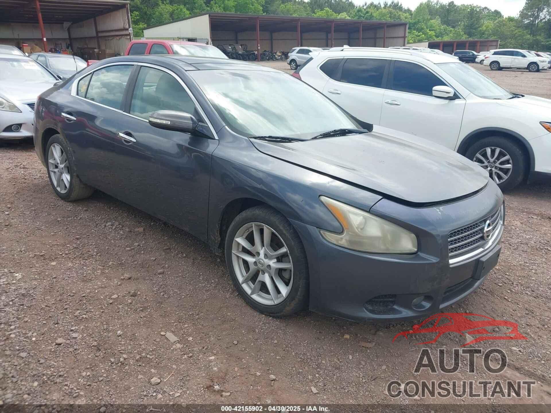 NISSAN MAXIMA 2010 - 1N4AA5AP8AC864004