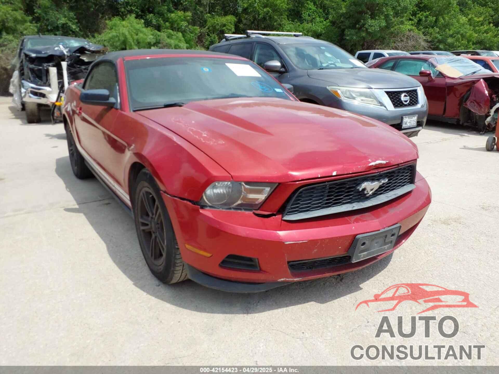 FORD MUSTANG 2011 - 1ZVBP8EMXB5154121