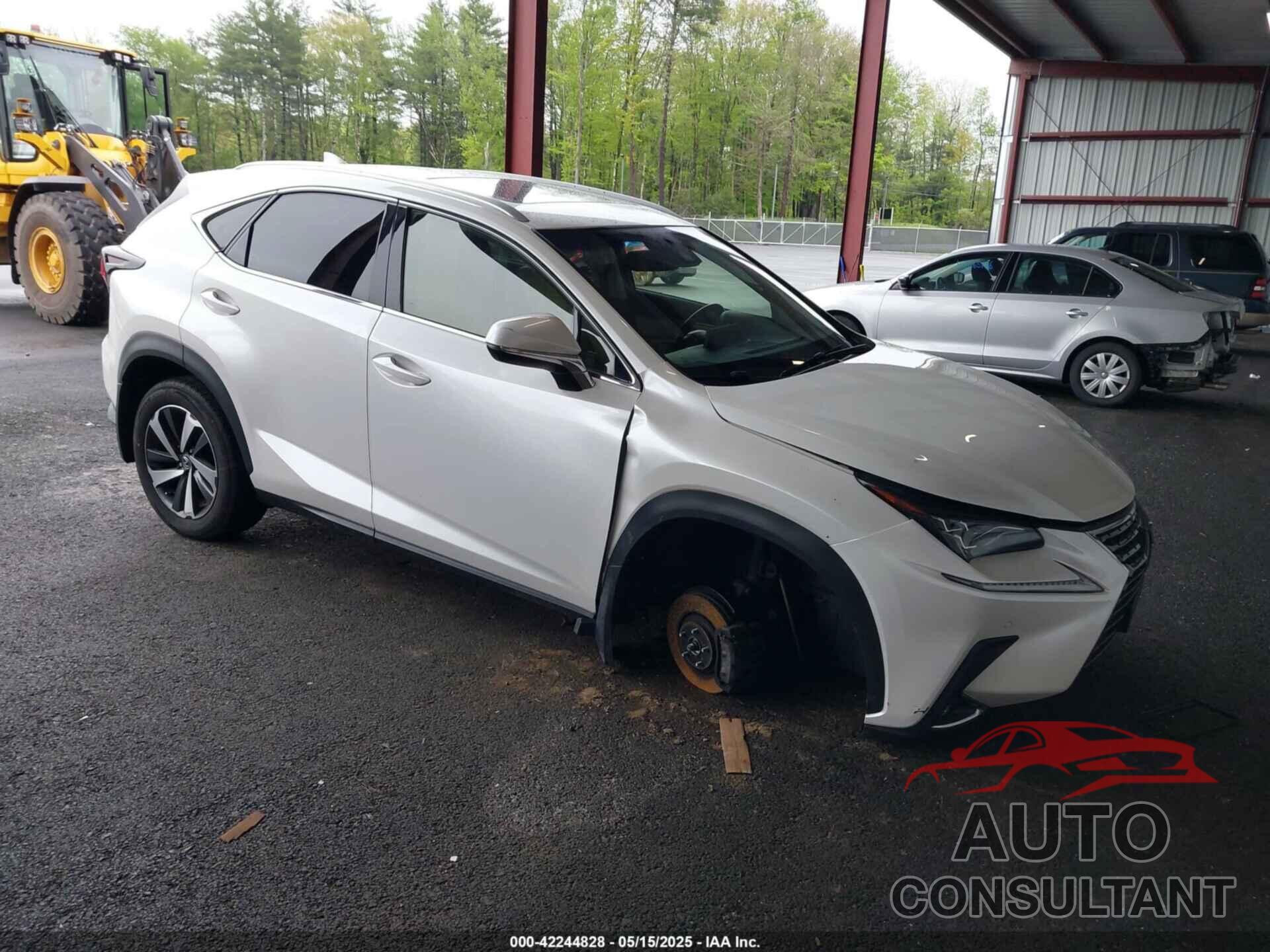 LEXUS NX 300 2019 - JTJBARBZ2K2183055