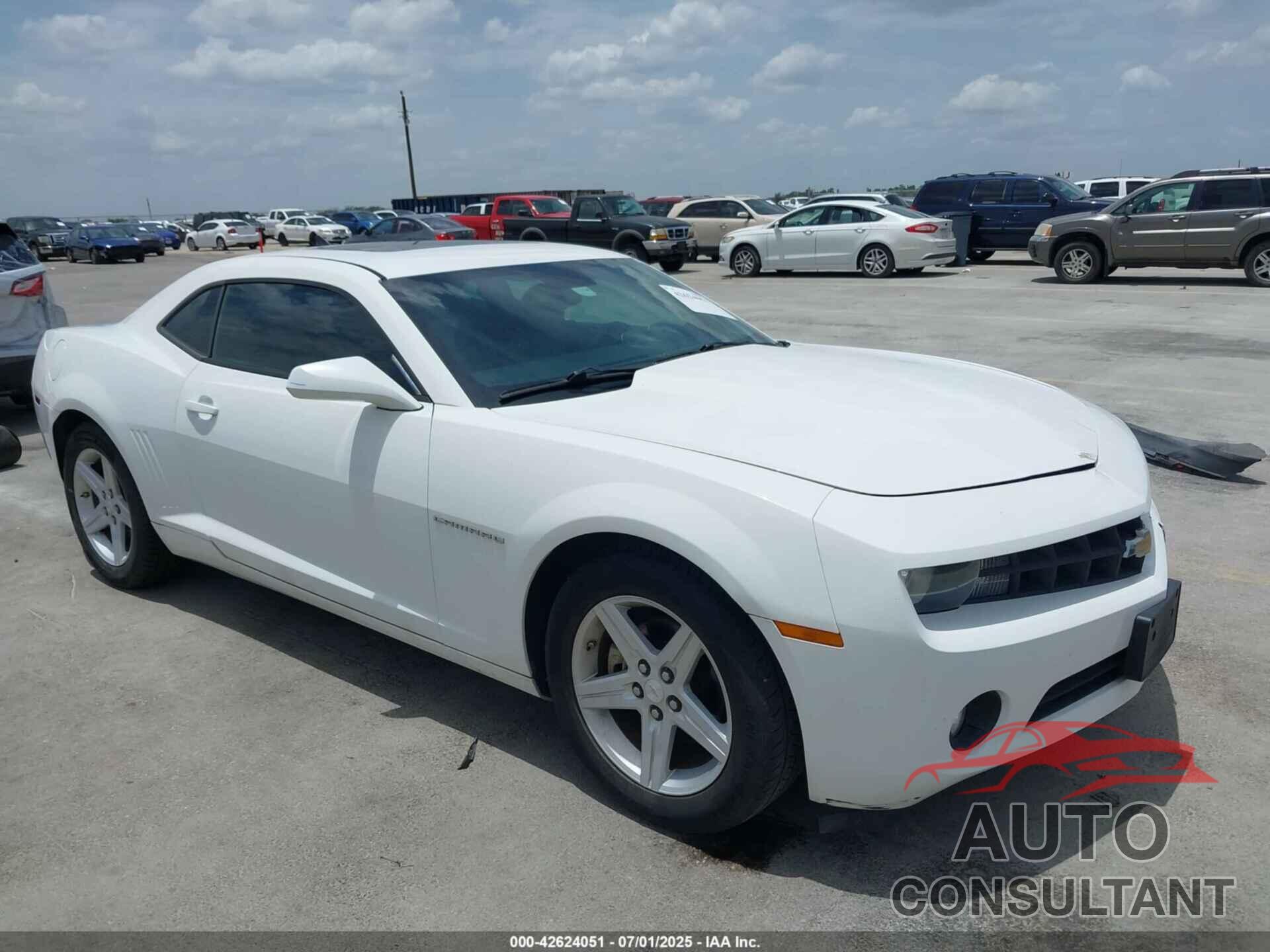 CHEVROLET CAMARO 2010 - 2G1FB1EV9A9170209