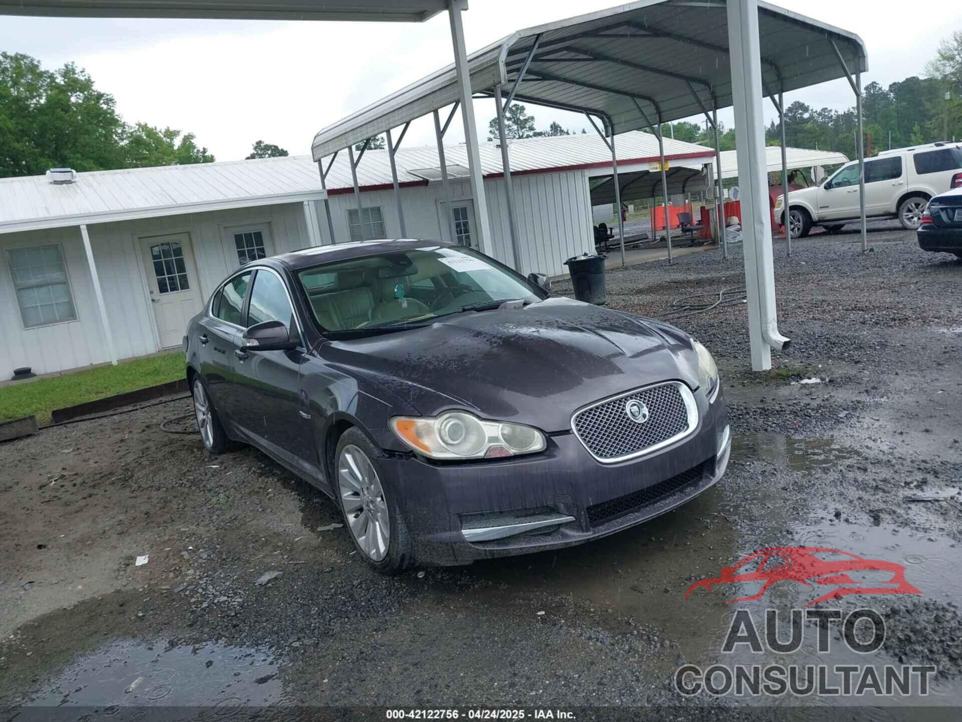 JAGUAR XF 2009 - SAJWA06B39HR04506