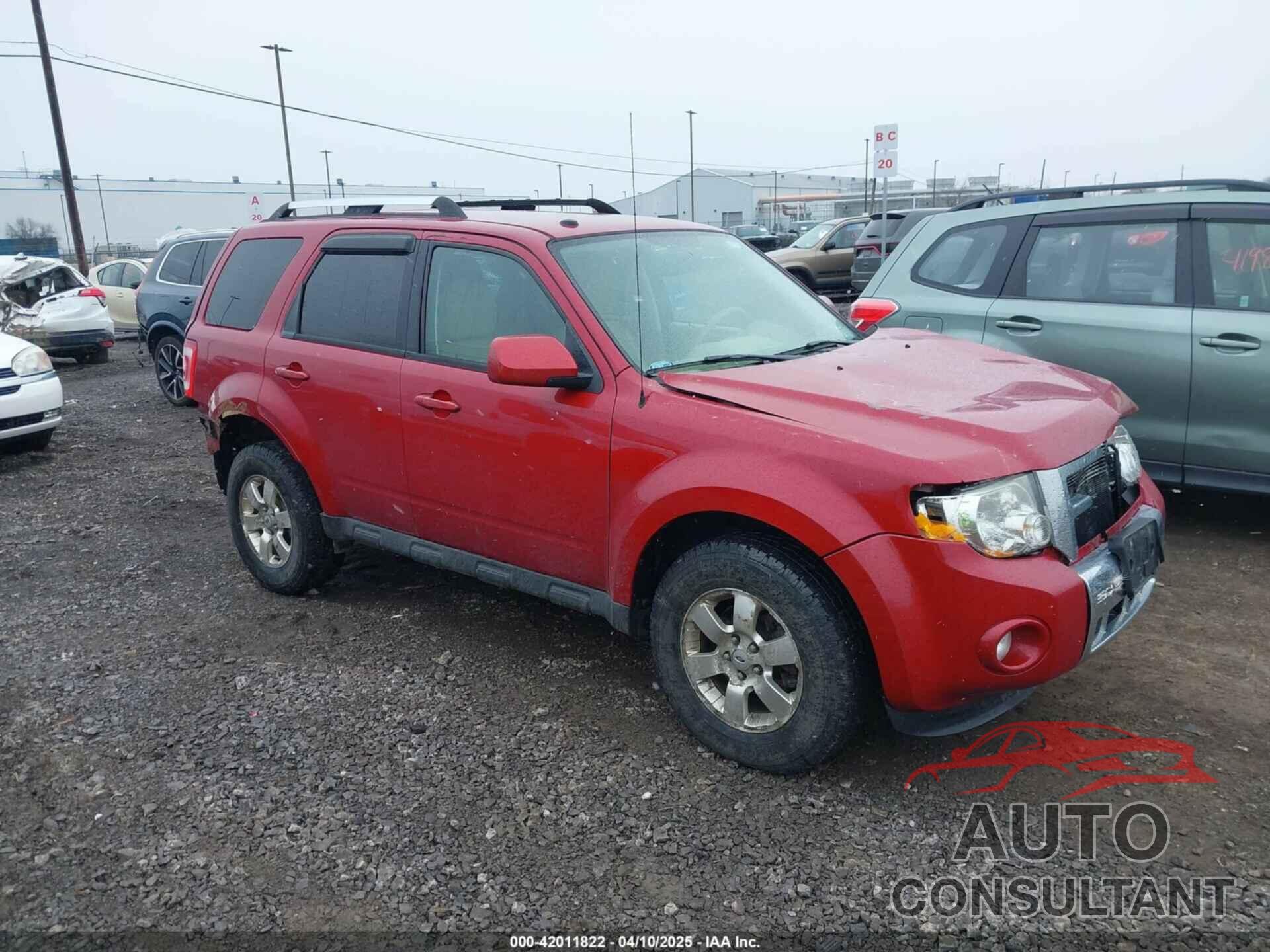 FORD ESCAPE 2011 - 1FMCU9EG0BKC43306