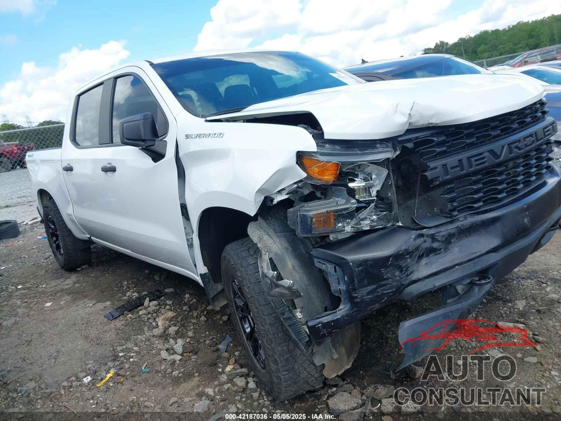 CHEVROLET SILVERADO 1500 2020 - 3GCUYAEF5LG177298