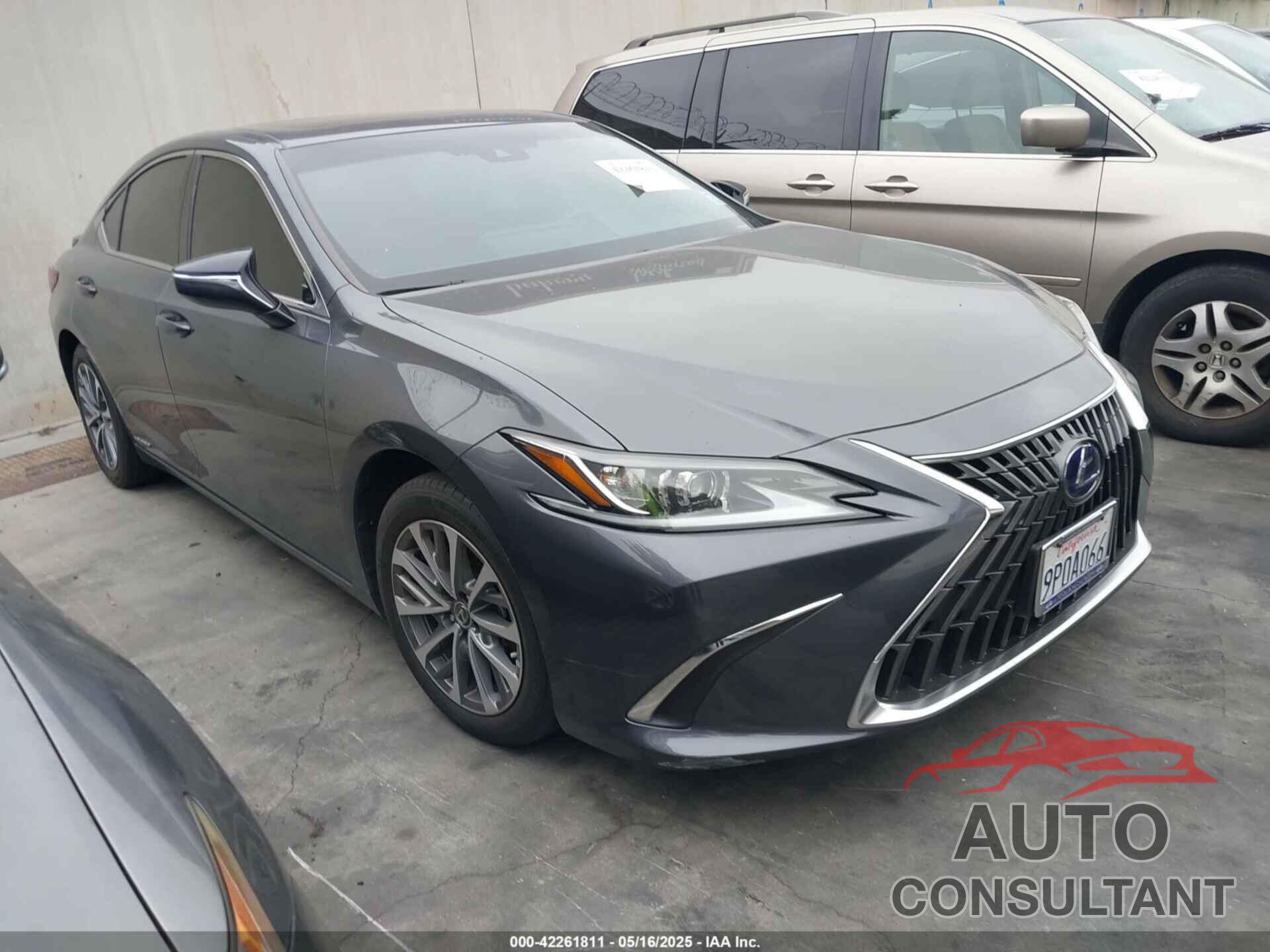 LEXUS ES 300H 2022 - 58ACA1C15NU015490