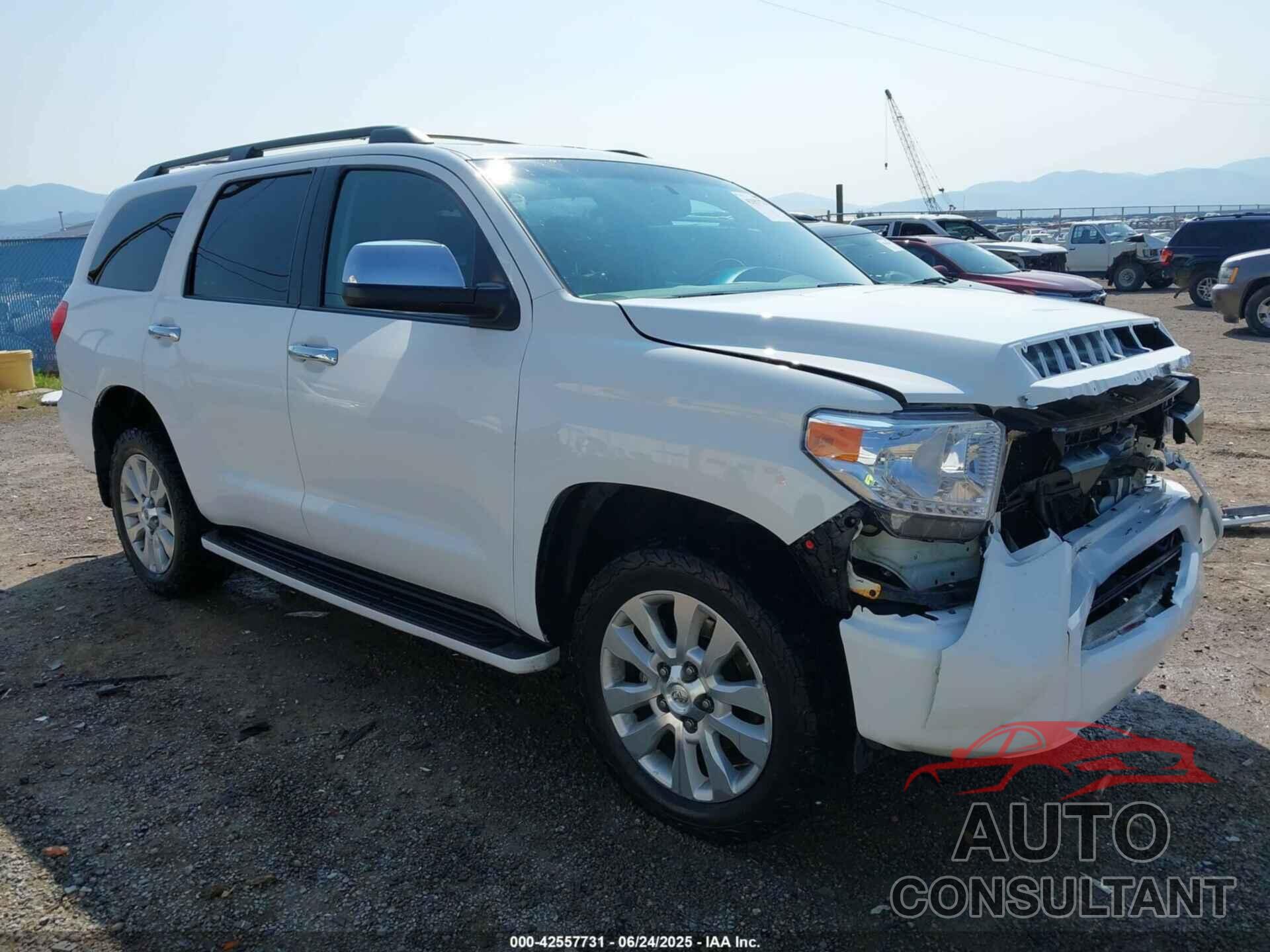 TOYOTA SEQUOIA 2013 - 5TDDW5G19DS091641