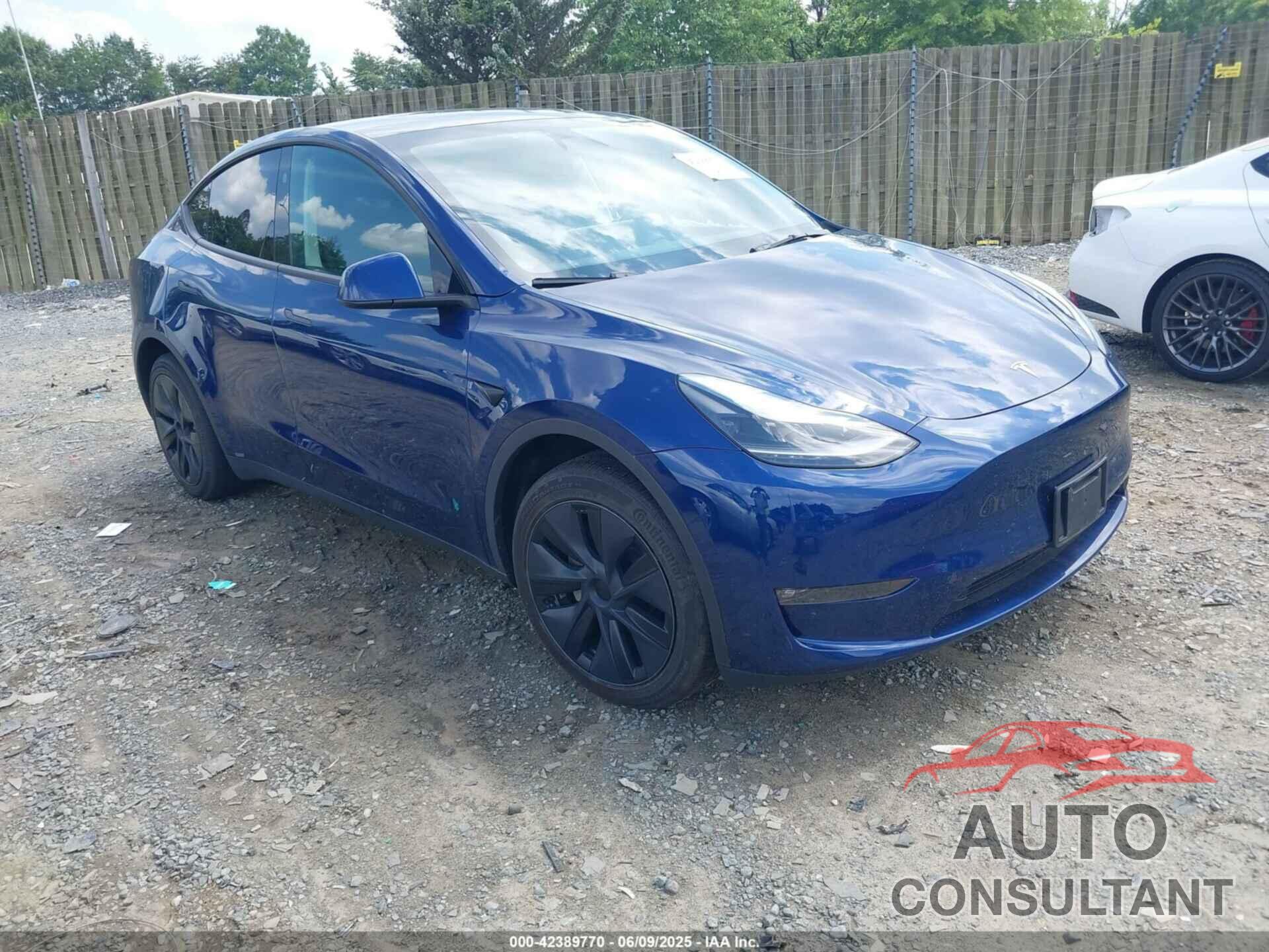 TESLA MODEL Y 2024 - 7SAYGAEE7RF156787