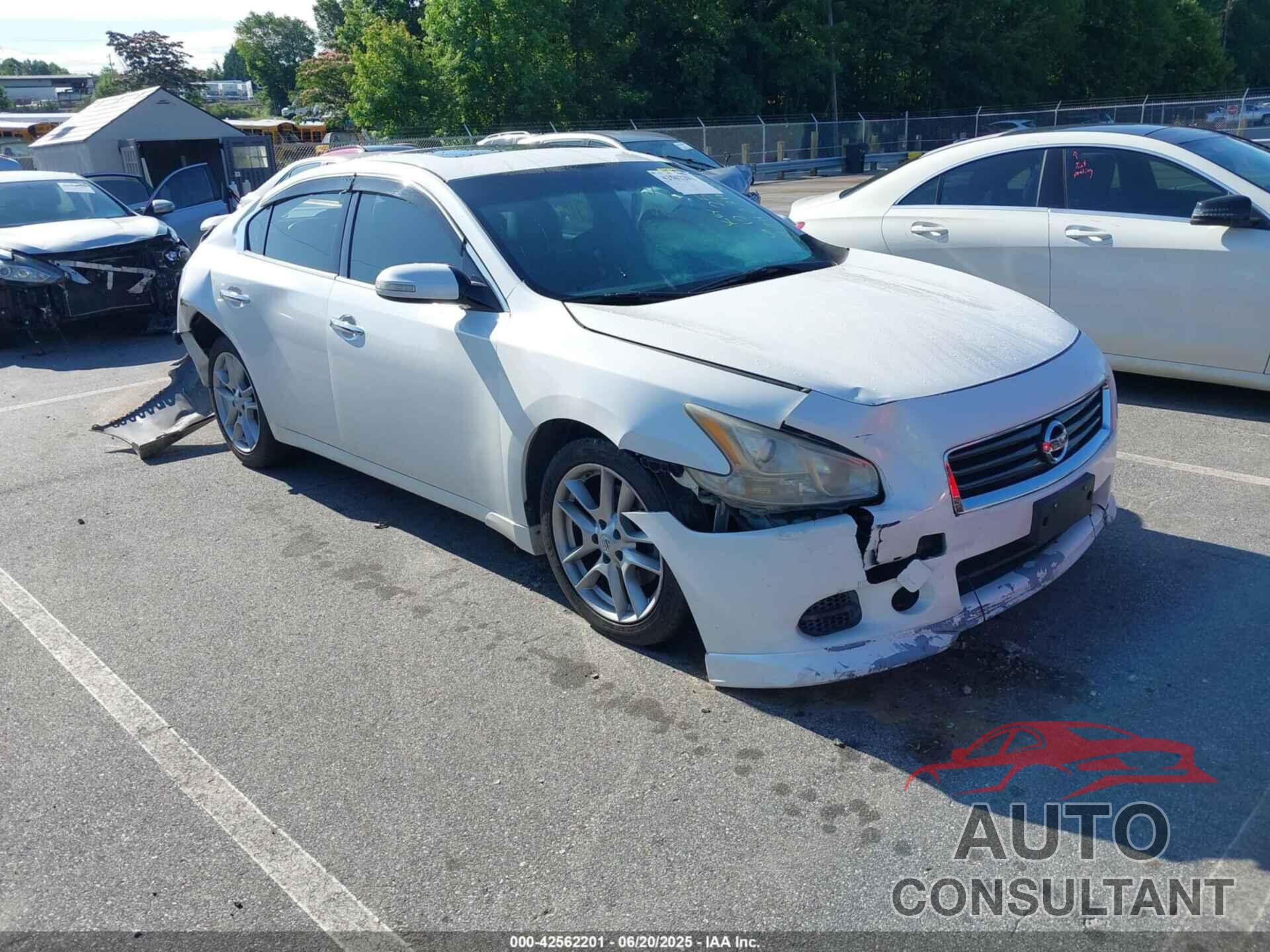 NISSAN MAXIMA 2010 - 1N4AA5AP5AC871413