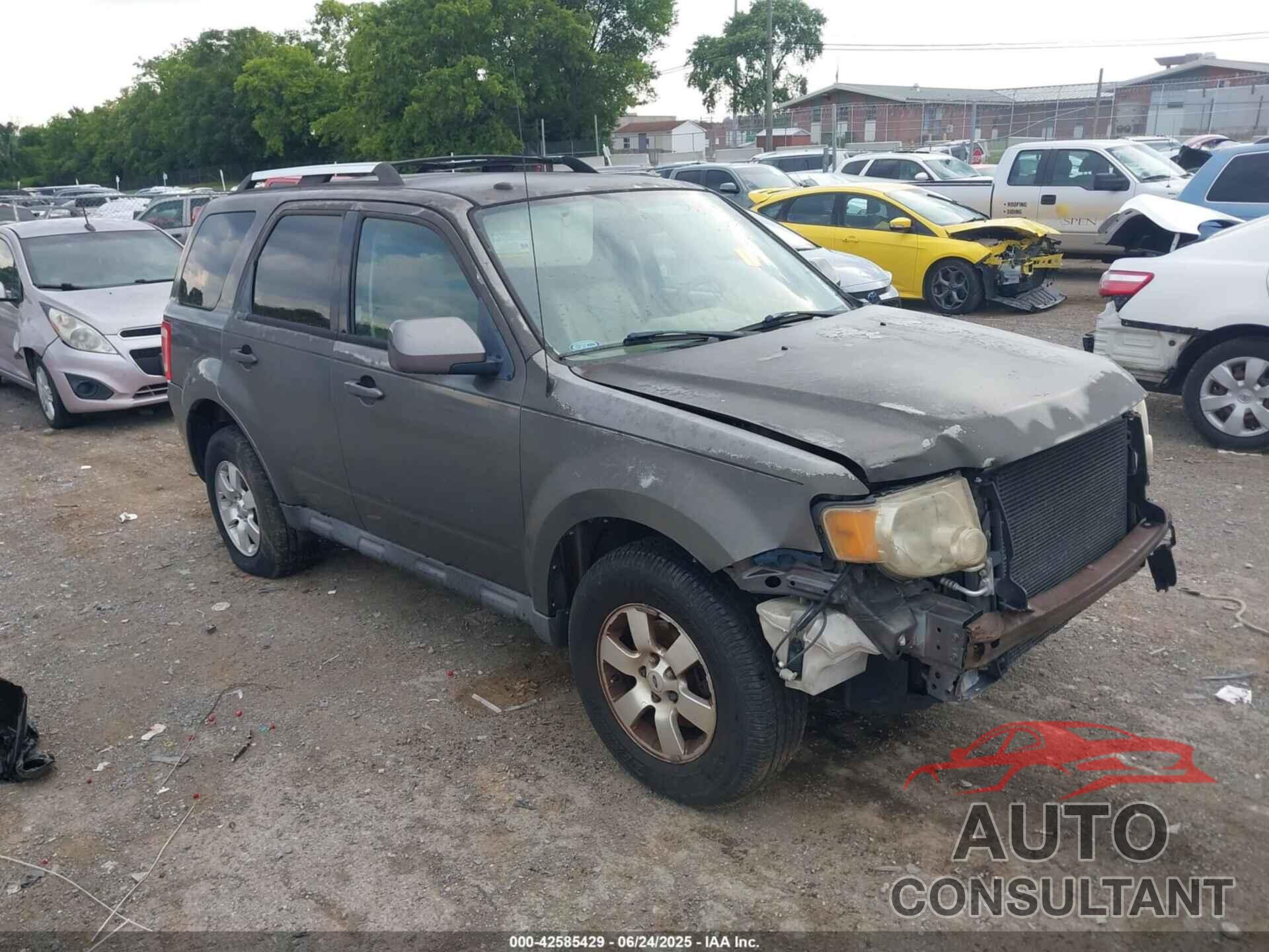FORD ESCAPE 2010 - 1FMCU0EGXAKC77635