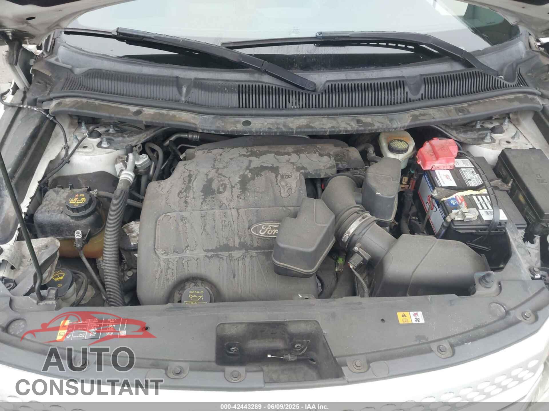 FORD EXPLORER 2014 - 1FM5K7D88EGA03585