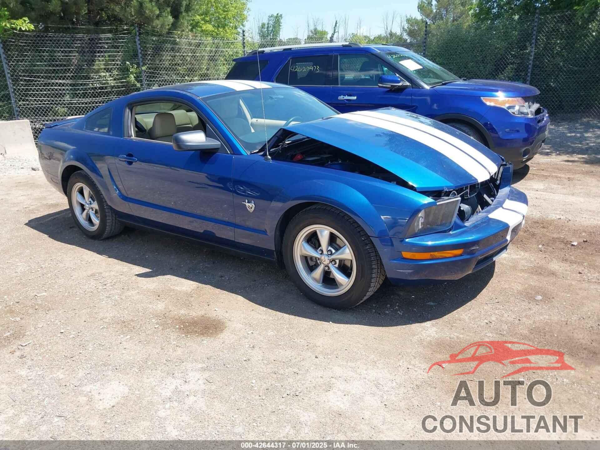 FORD MUSTANG 2009 - 1ZVHT80N895107184